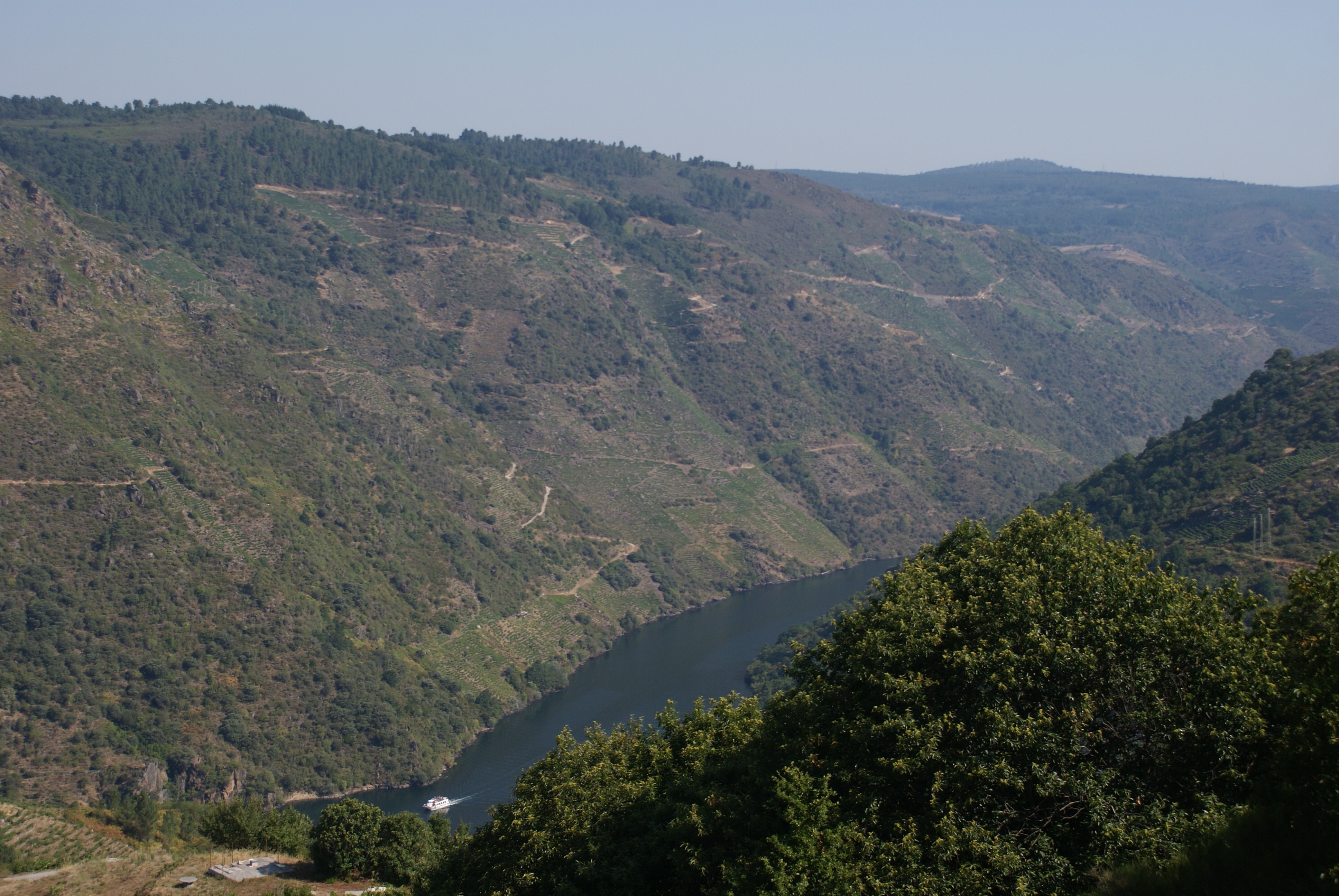 scenics - nature, land, scenics, tranquil scene, beauty in nature, river, outdoors, tranquility, no people, ribeira sacra, landscape, idyllic, plant, water, HD Wallpaper