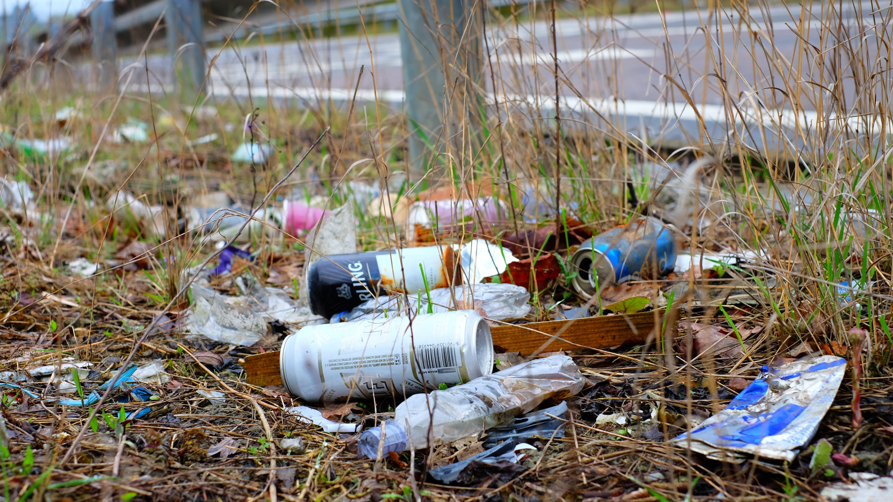 alcohol, 2K, environment, waste, nature, junk, environmental issues, land, focus on foreground, animal wildlife, no people, group of animals, beer, plant, HD Wallpaper