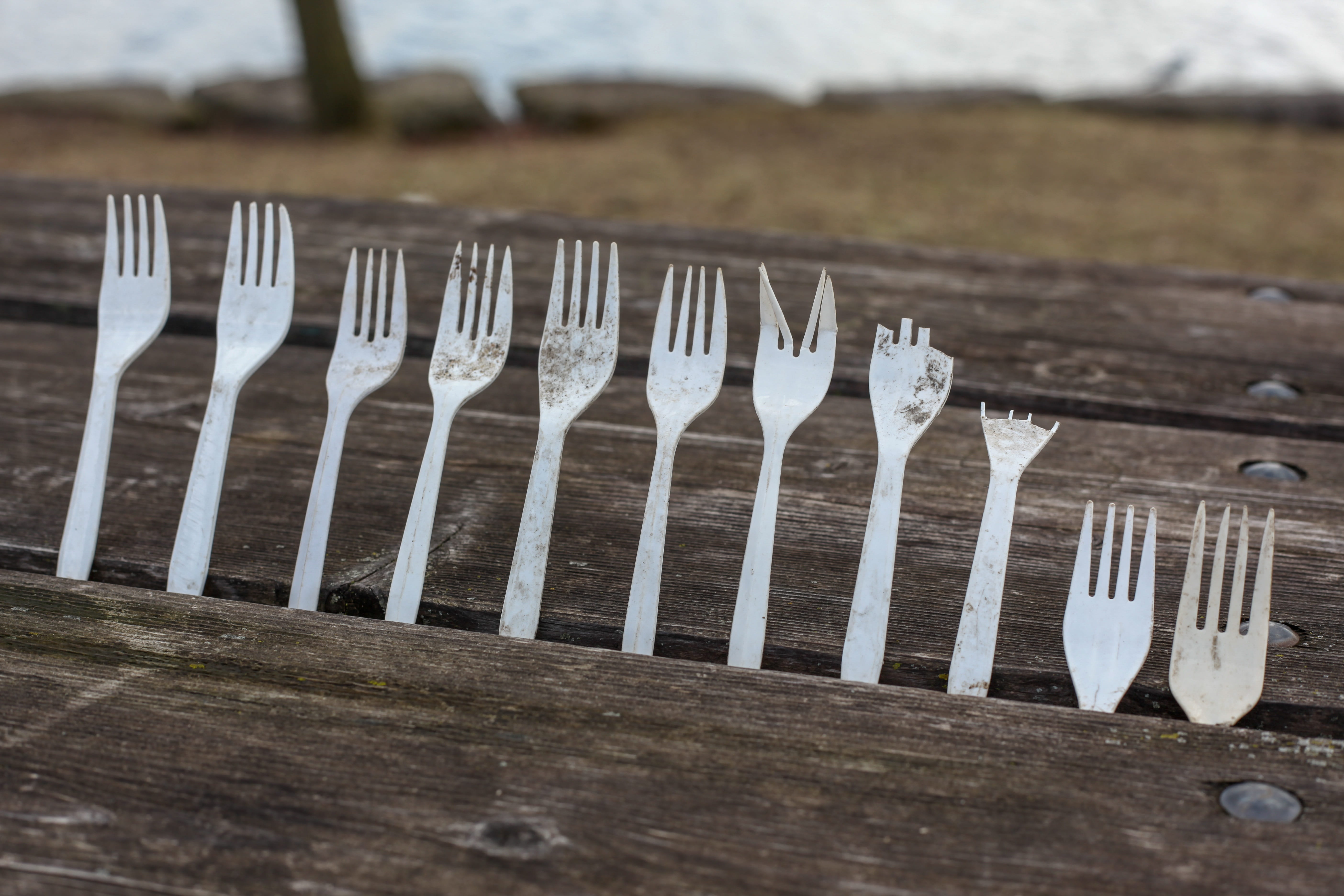 forks, reuse, eating utensil, plastics, table, environment, recycle, drinking glass, ecology, white color, glass, no people, group of objects, pollution, HD Wallpaper