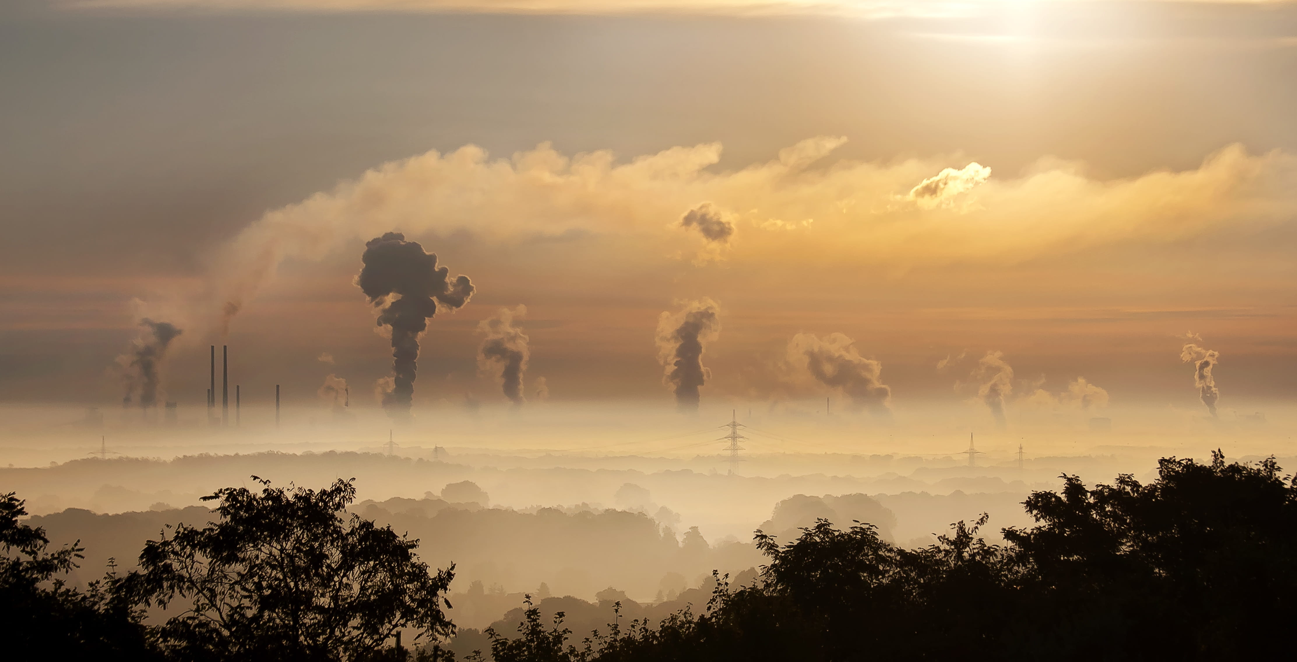 trees, power plant, outdoors, duisburg, smoke - physical structure, rhine, sun, industry, no people, sky, environmental protection, sunrise, toxic, environment, HD Wallpaper