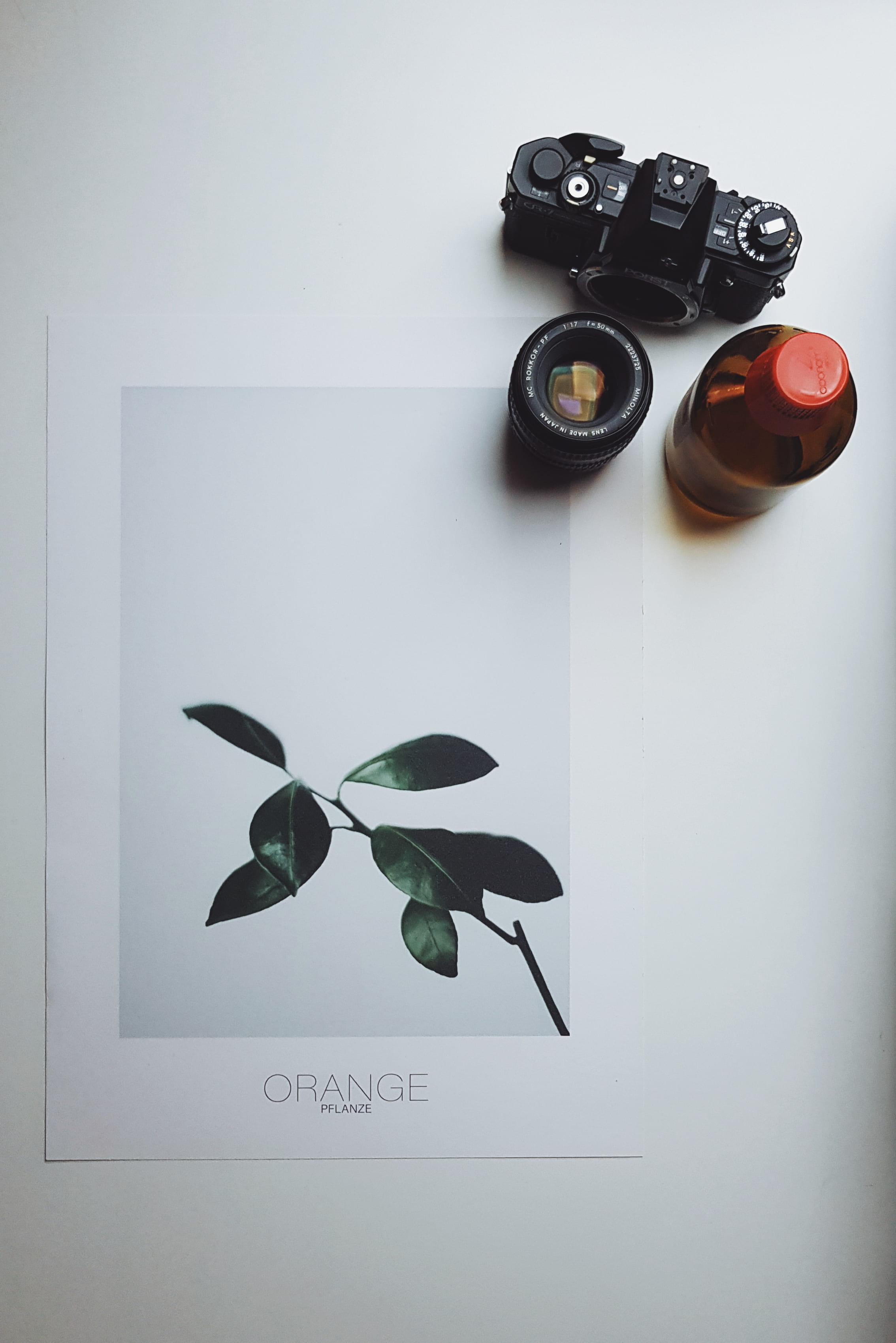 zoom, len, camera, dslr, western script, technology, black, beside, photography themes, nature, lens, communication, photographic equipment, text, leaf, Phone HD Wallpaper