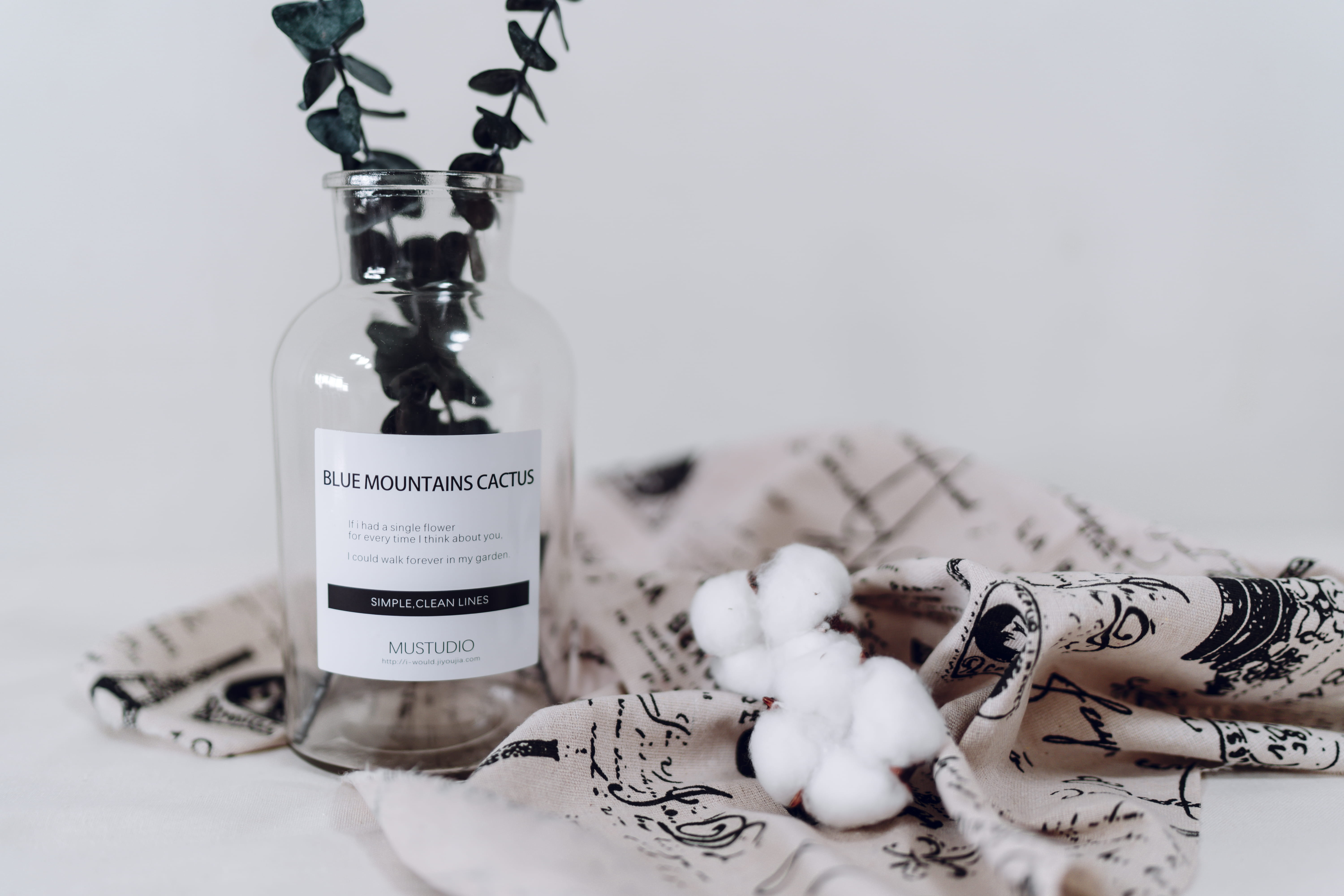 simplicity, celebration, flower, eucalyptu, plant, leaves, sony, white, decoration, minimal, indoor, close-up, leaf, vase, no People, bottle, clear, 5K, HD Wallpaper