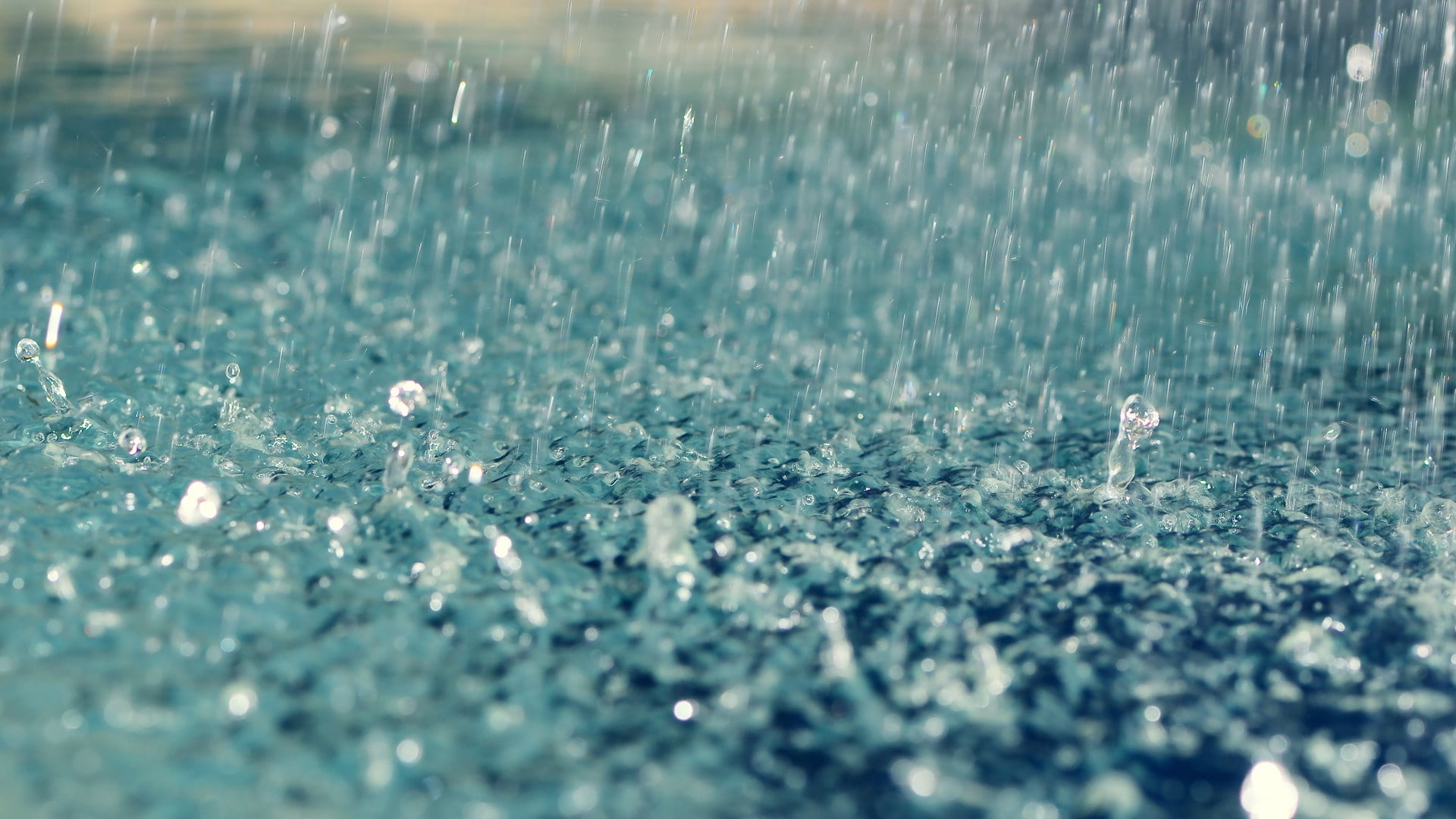 drops, nature, rain, 1080P, water, hd, stop, action, HD Wallpaper