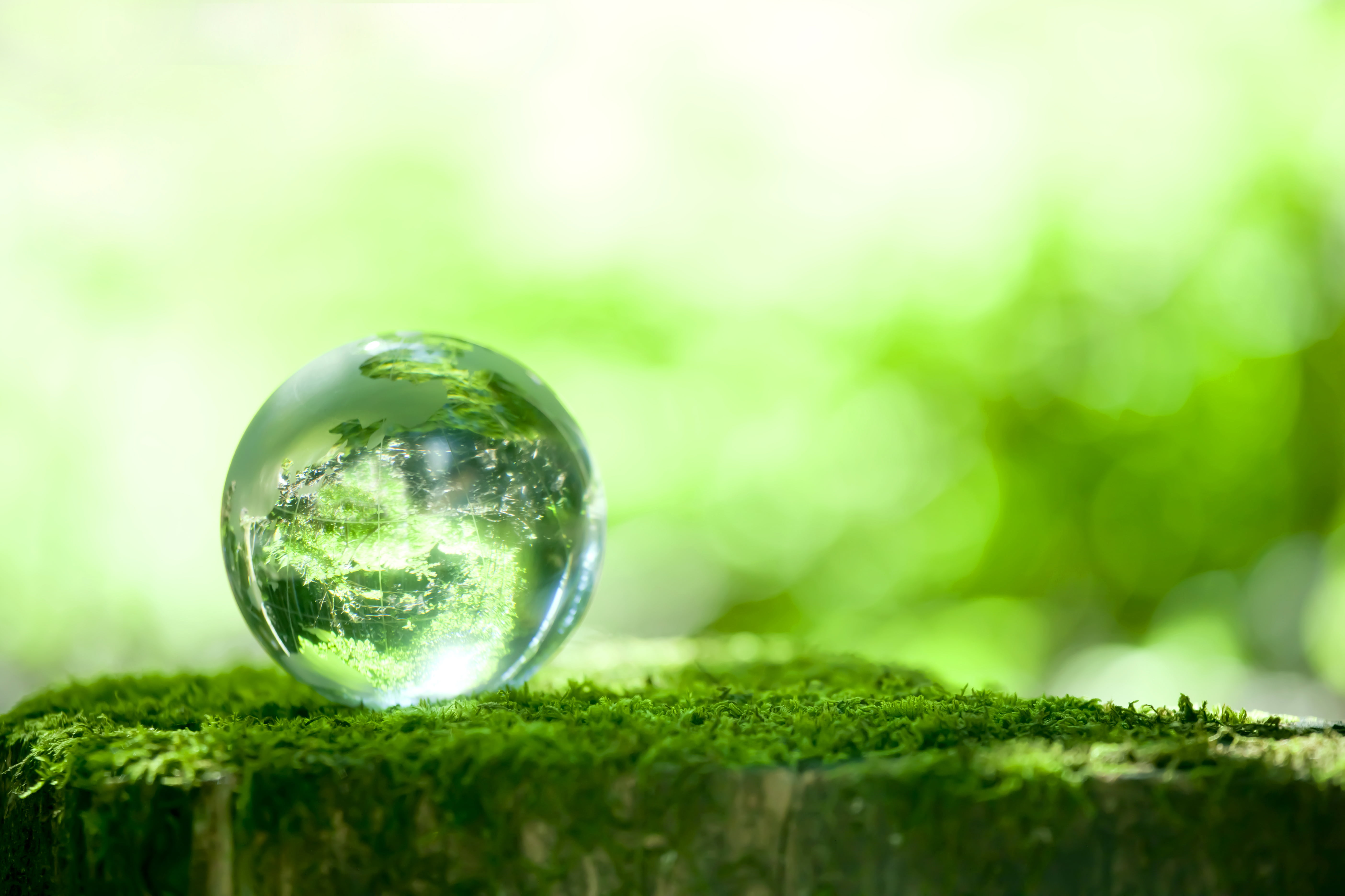 land, world Map, greens, environmental Conservation, outdoors, environment, earth, day, decor, transparent, plant, bokeh, close-up, glass - Material, summer, HD Wallpaper