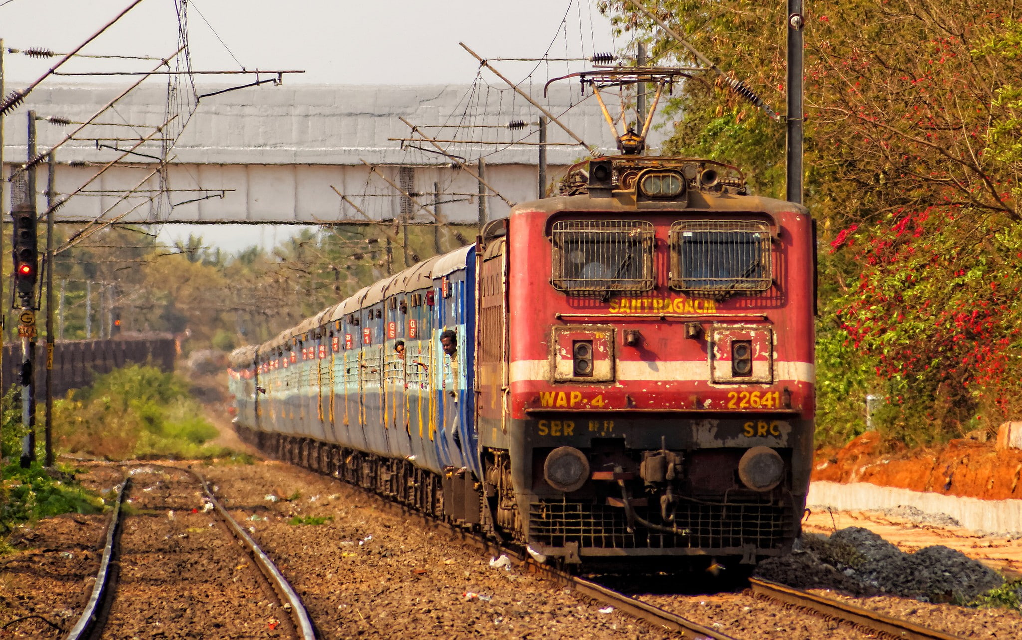 train - vehicle, nature, passenger train, railroad track, mode of transportation, power supply, India, land vehicle, electric locomotives, cable, plant, HD Wallpaper