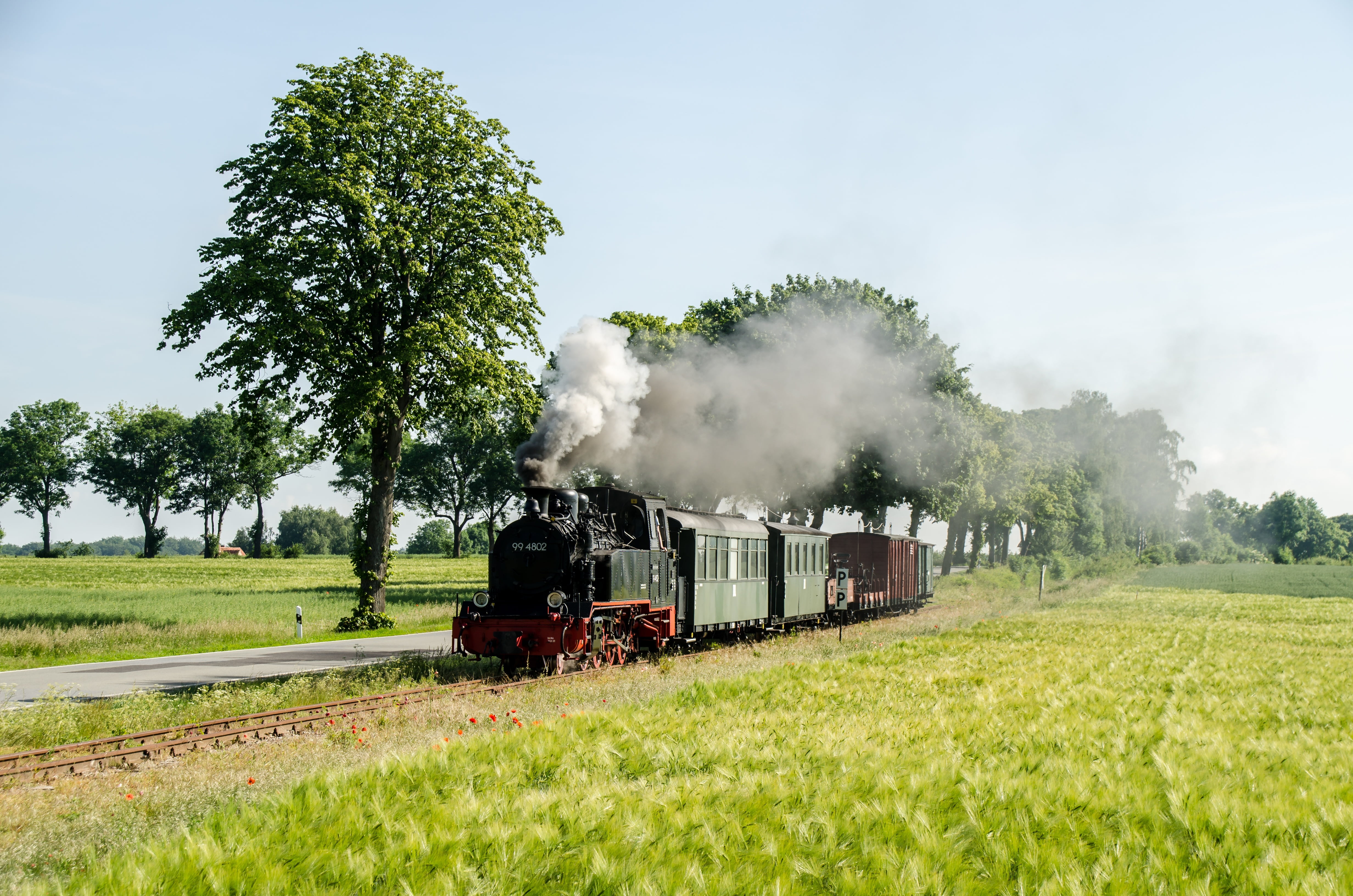 metal, drive, under steam, prignitz, steam locomotive, seemed, steam, pollo, public transportation, track, field, steam railway, past, at that time, smoke - physical structure, HD Wallpaper