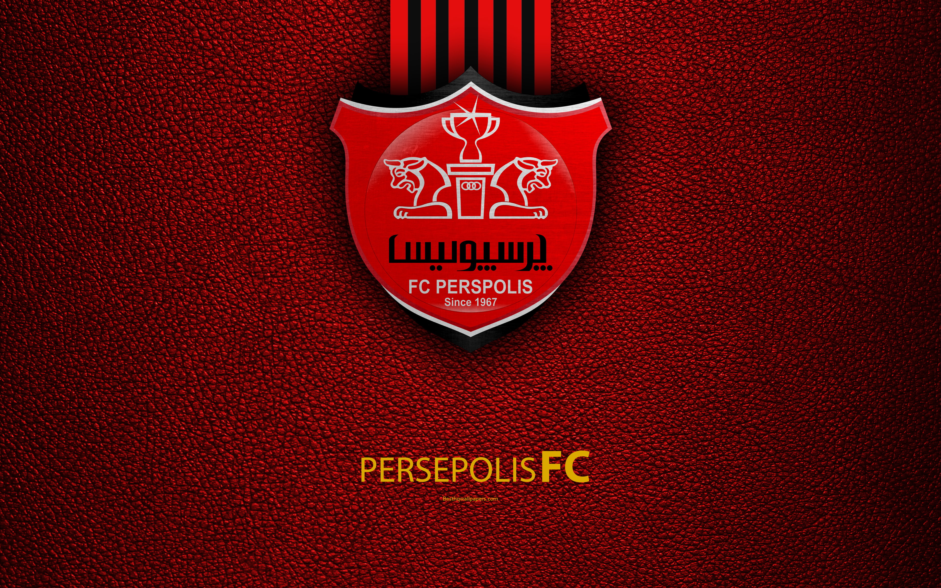4K, Soccer, Persepolis F.C., HD Wallpaper