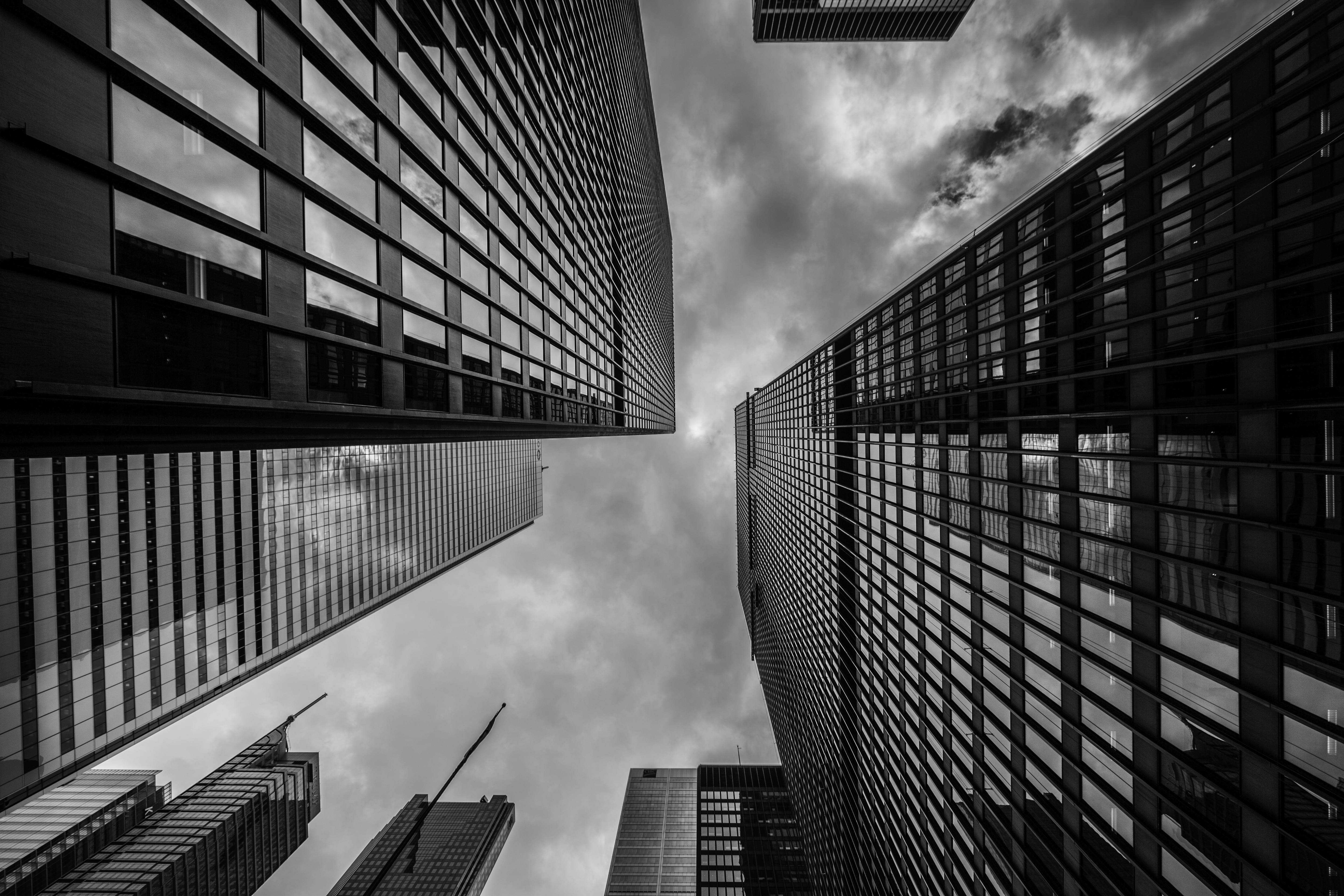 skyskraper, no people, day, photo, black and white, office, glass - material, office building exterior, low angle view, center, worm, building, cloud, business, HD Wallpaper