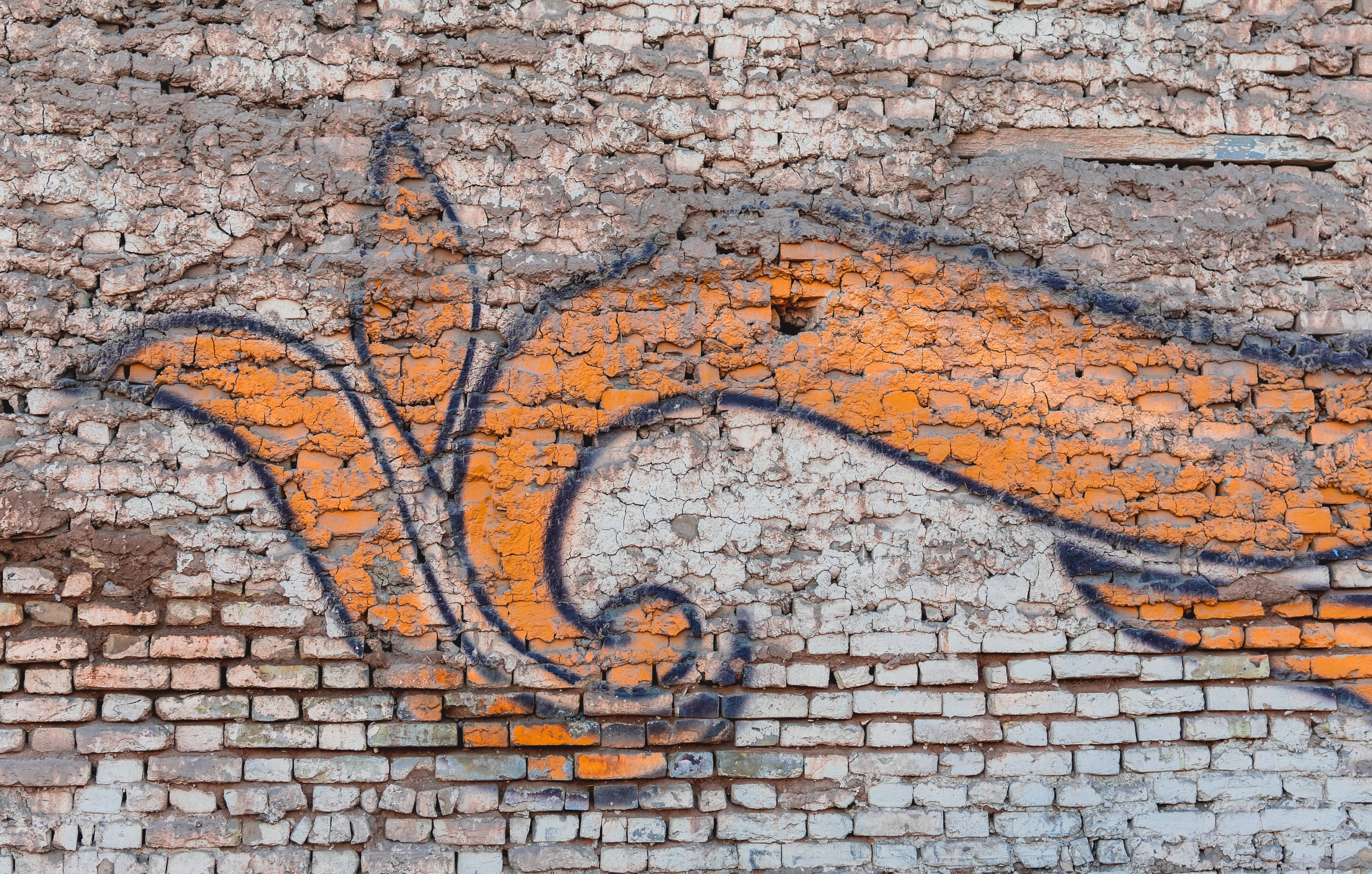 snake, street photography, street, communication, bird, graffiti, textured, wall, mural, close-up, iran, vintage, brick, stone wall, weathered, outdoors, HD Wallpaper