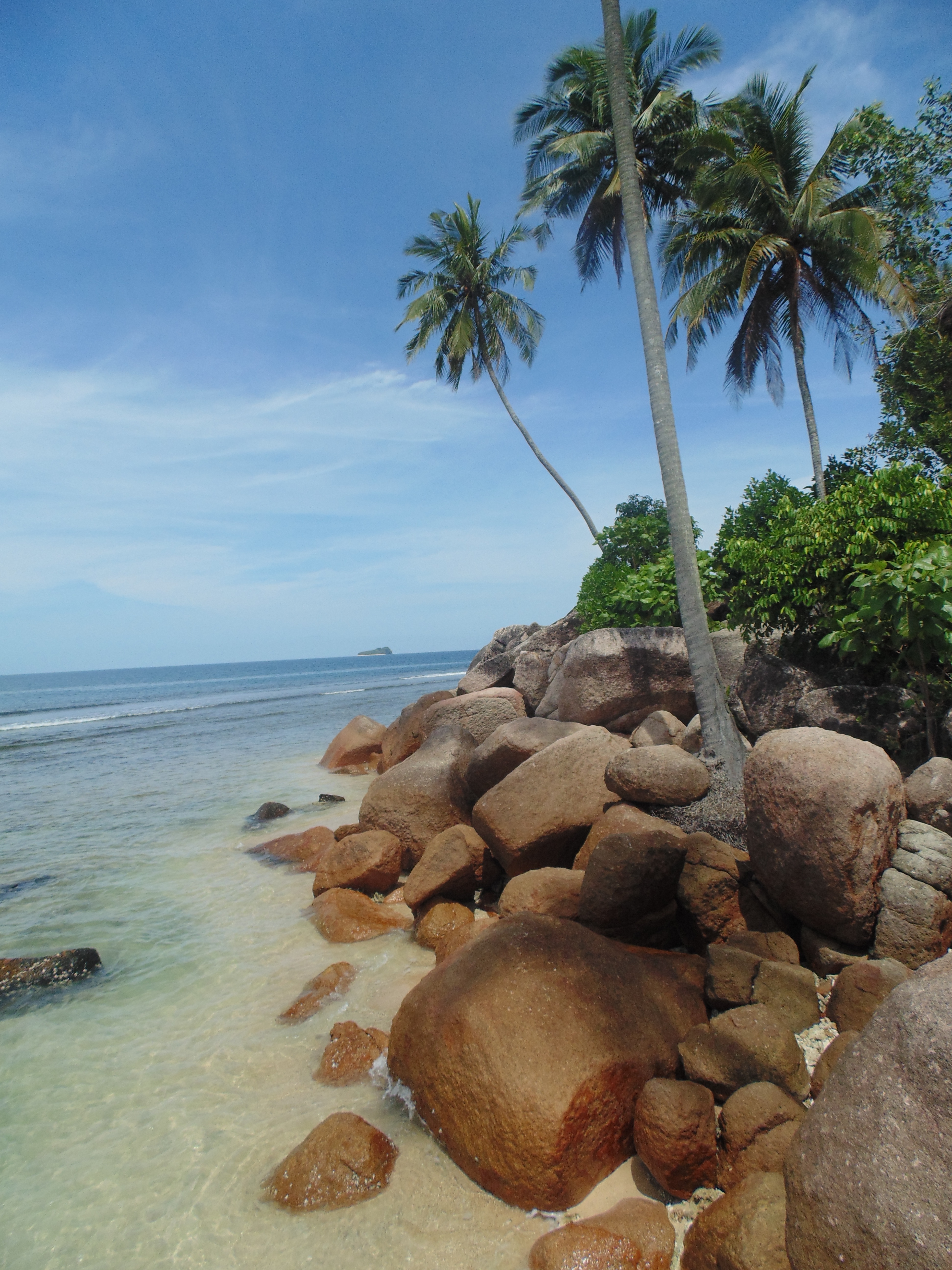 palm trees, sky, sandy, solid, beauty in nature, tourism, rocks, beach, ocean, stones, coconut, brown, nature, land, horizon, tranquil scene, scenics - nature, Phone HD Wallpaper