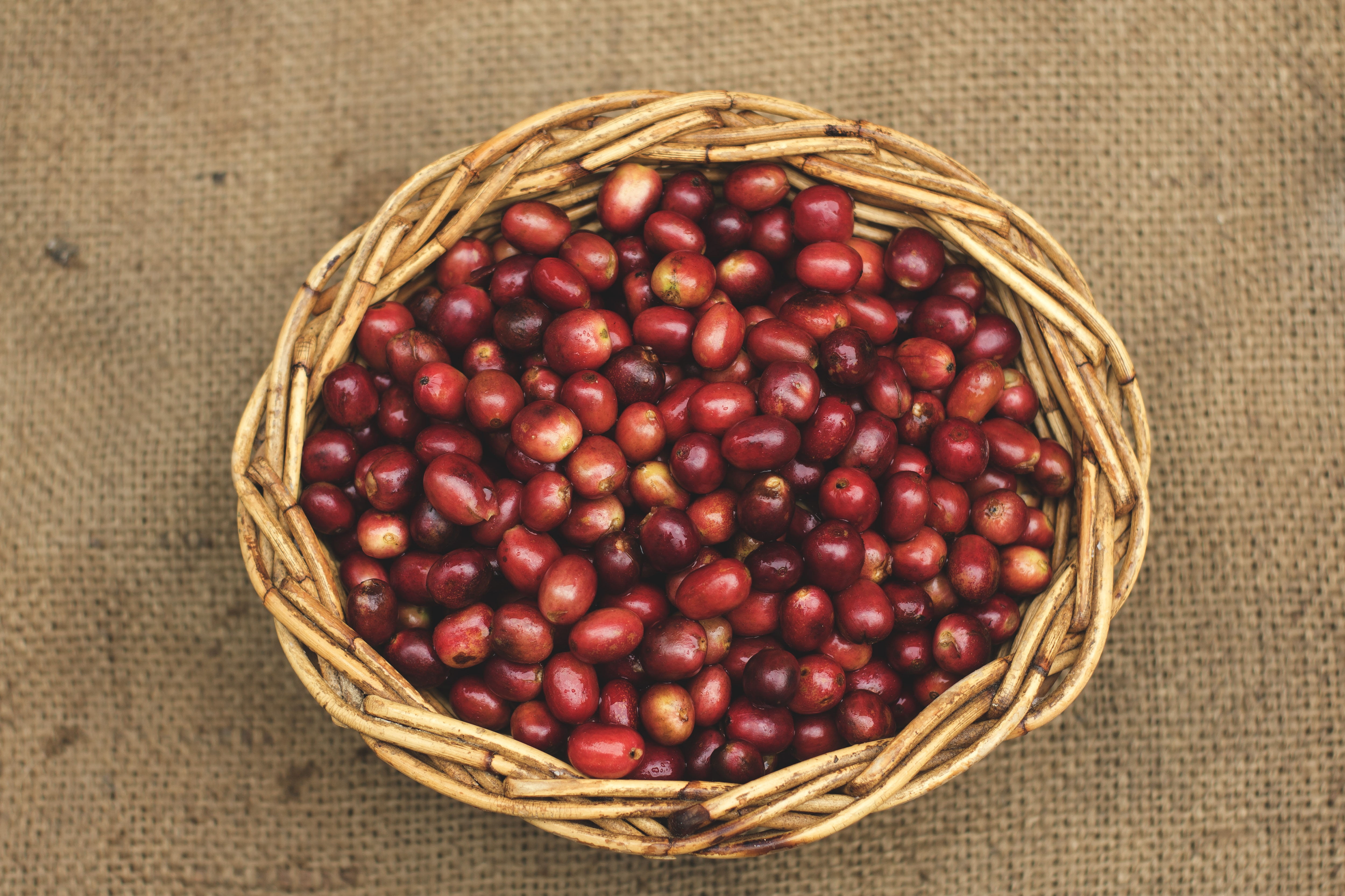 top view, straw, full, gayo coffee, directly above, abundance, wicker, freshness, healthy eating, 4K, basket, fruit, ripe, red beans, large group of objects, HD Wallpaper