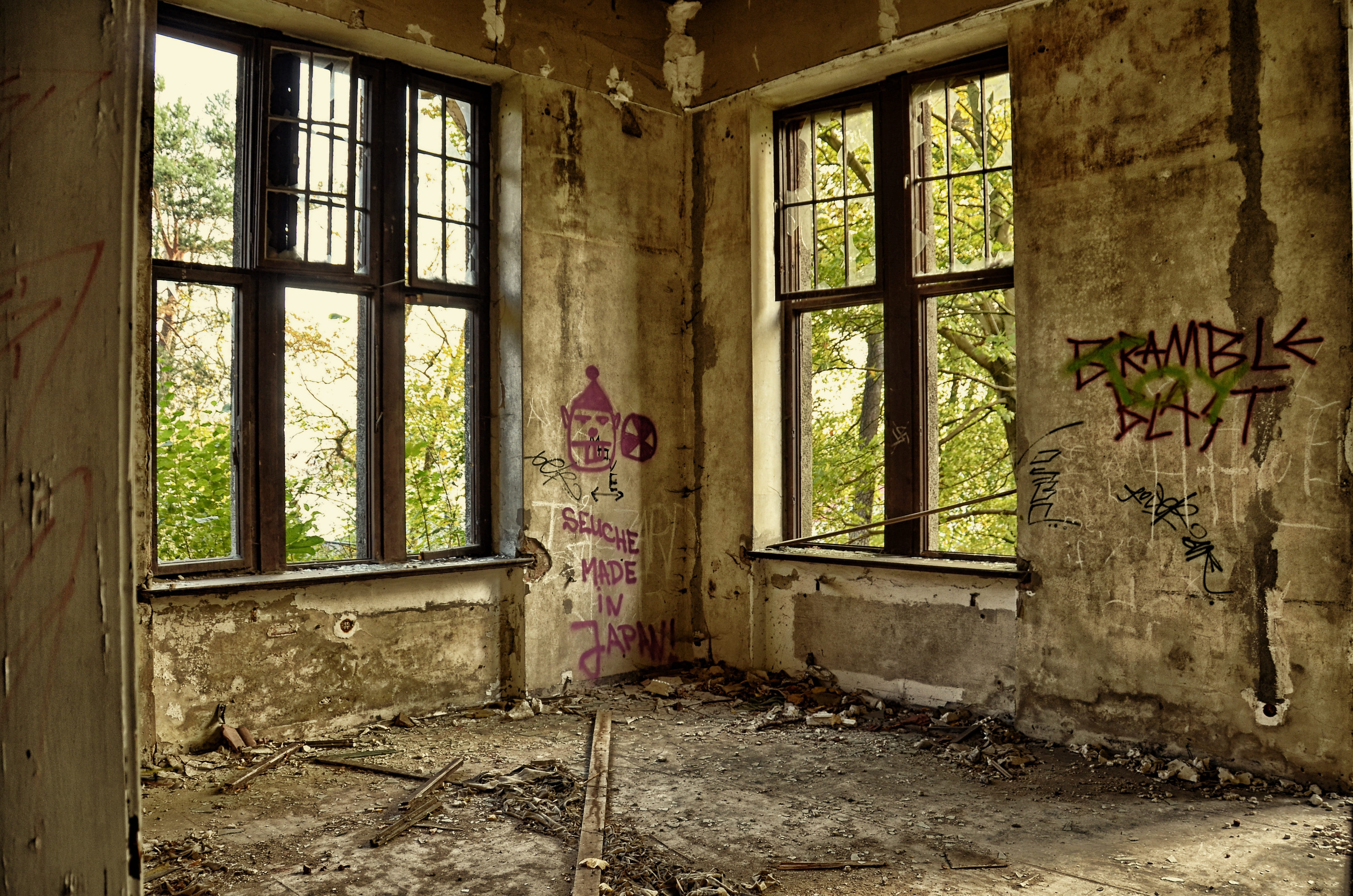 brown, decline, wall - building feature, frames, ailing, ruin, obsolete, day, messy, indoors, bad condition, run-down, architecture, damaged, villa, leave, HD Wallpaper