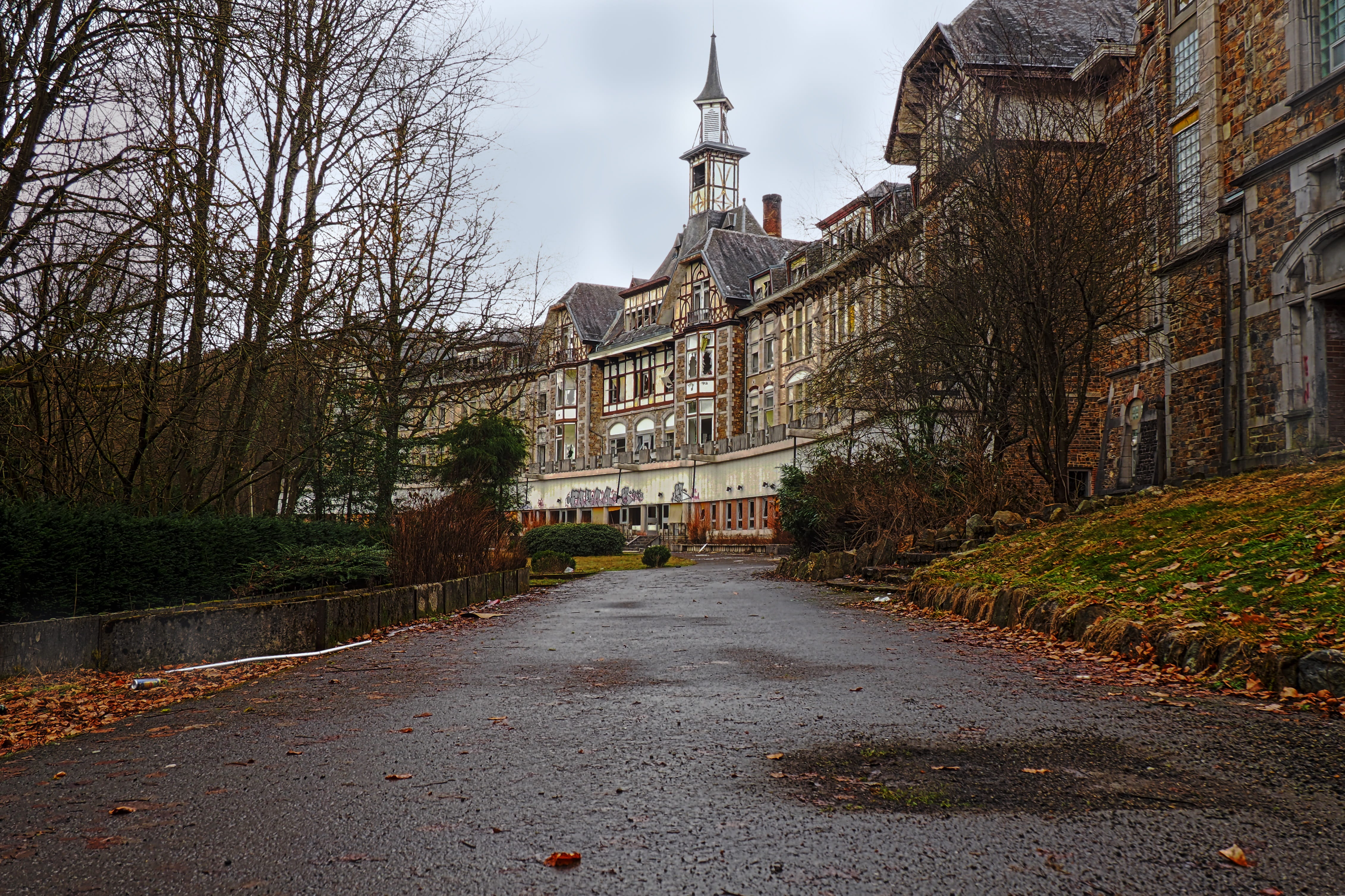 facade, old building, break up, the way forward, bare tree, lapsed, travel destinations, decay, forget, lost, religion, outdoors, pforphoto, sanatorium, HD Wallpaper