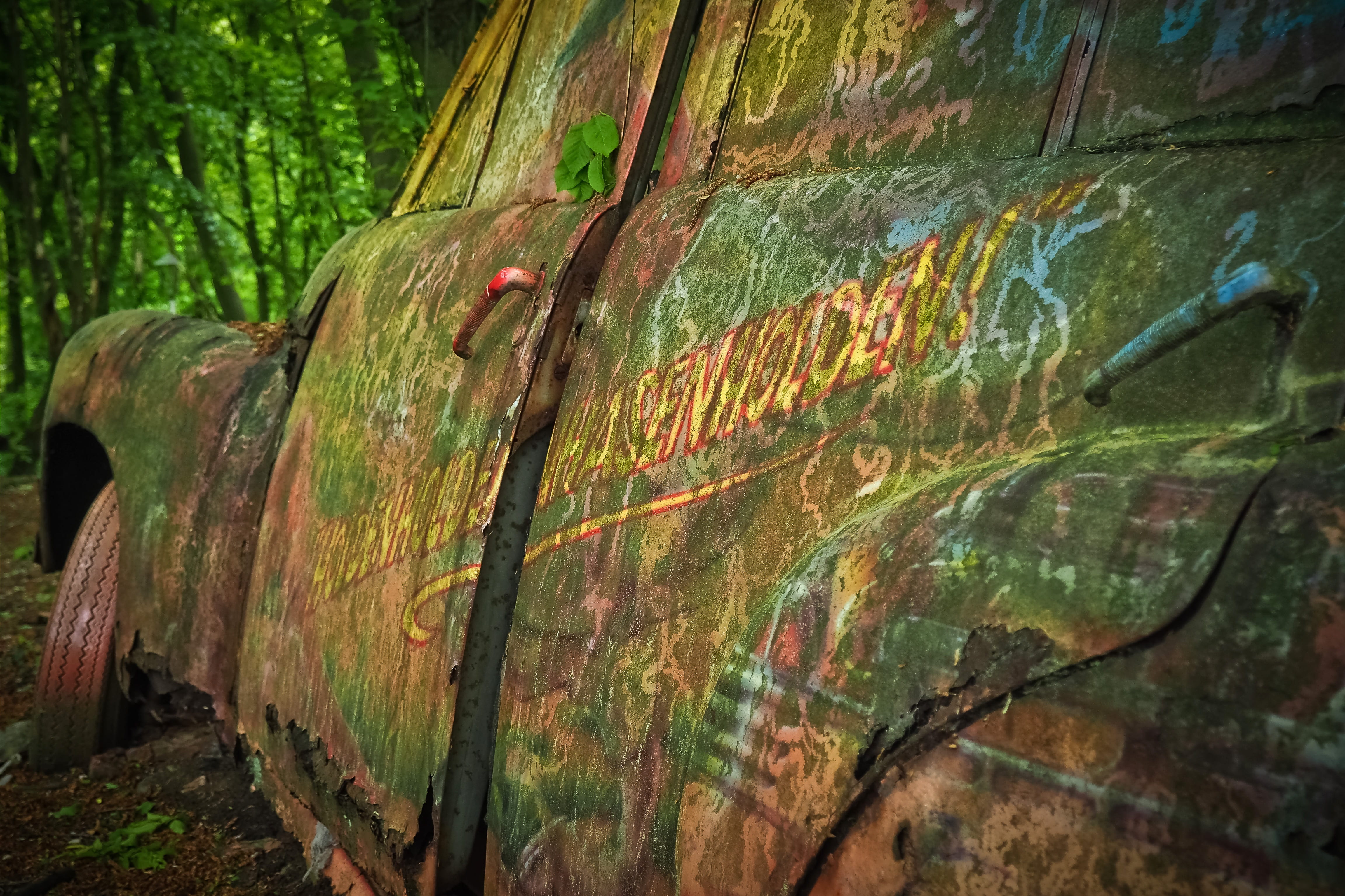 text, tree trunk, run down, holden, car wreck, discarded, neglected, memory, forget, holden fx standard, 4K, oldtimer, outdoors, lost place, old, close-up, HD Wallpaper