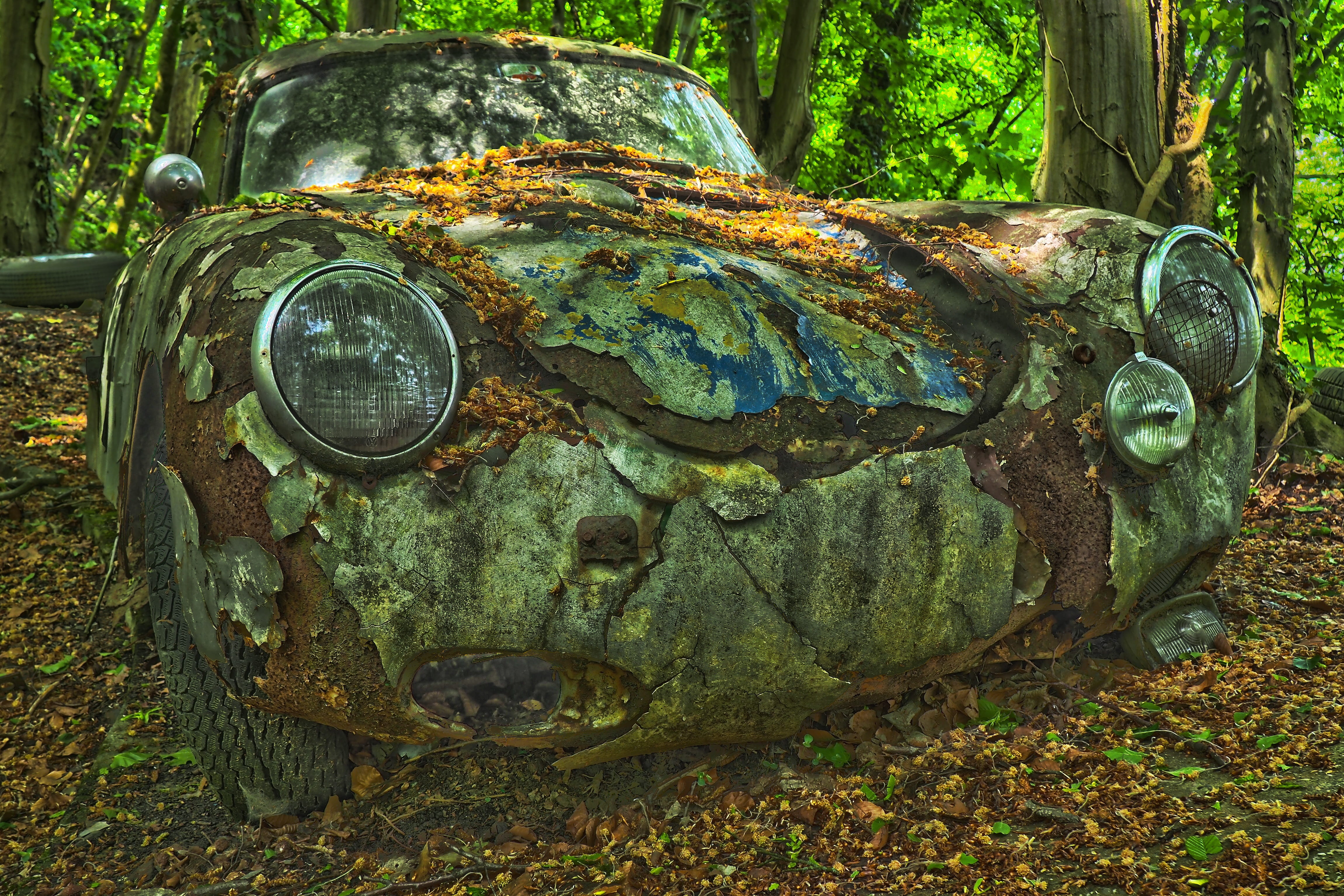 transportation, over, tree trunk, stainless, wreck, field, rusted, near, tree, rust, 4K, land, scrap, memory, deterioration, mode of transportation, porsche, HD Wallpaper