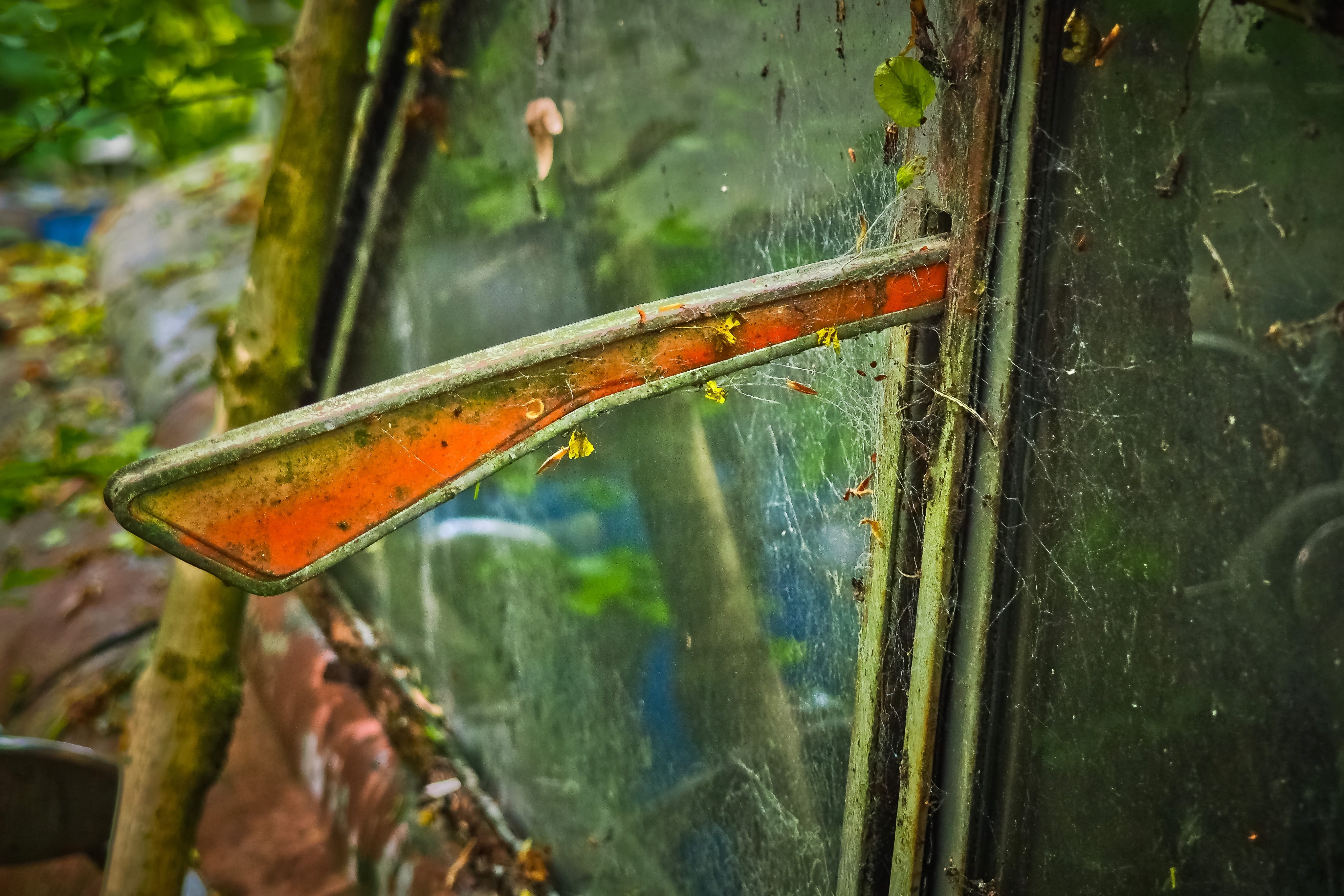 blinker, focus on foreground, plant part, dare, broken, forget, close-up, history, 4K, growth, no people, rain, dirty, transparent, vehicle, plant, stainless karre, HD Wallpaper