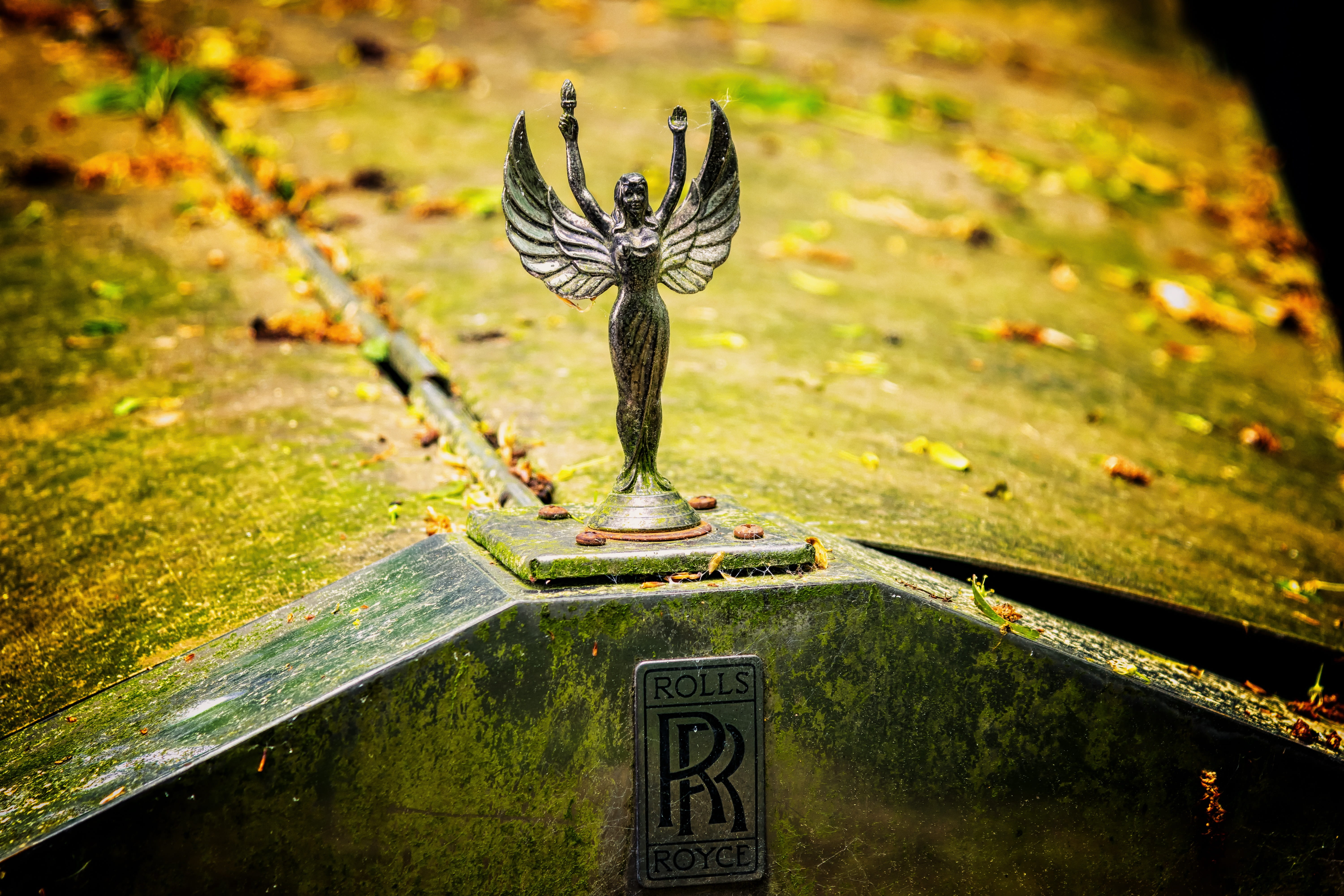 royce, rolls, day, text, woman, pkw, plant, corrosion, nostalgia, old car, moss, rusted, religion, mascot, stainless, forgery, stone, art and craft, nature, HD Wallpaper