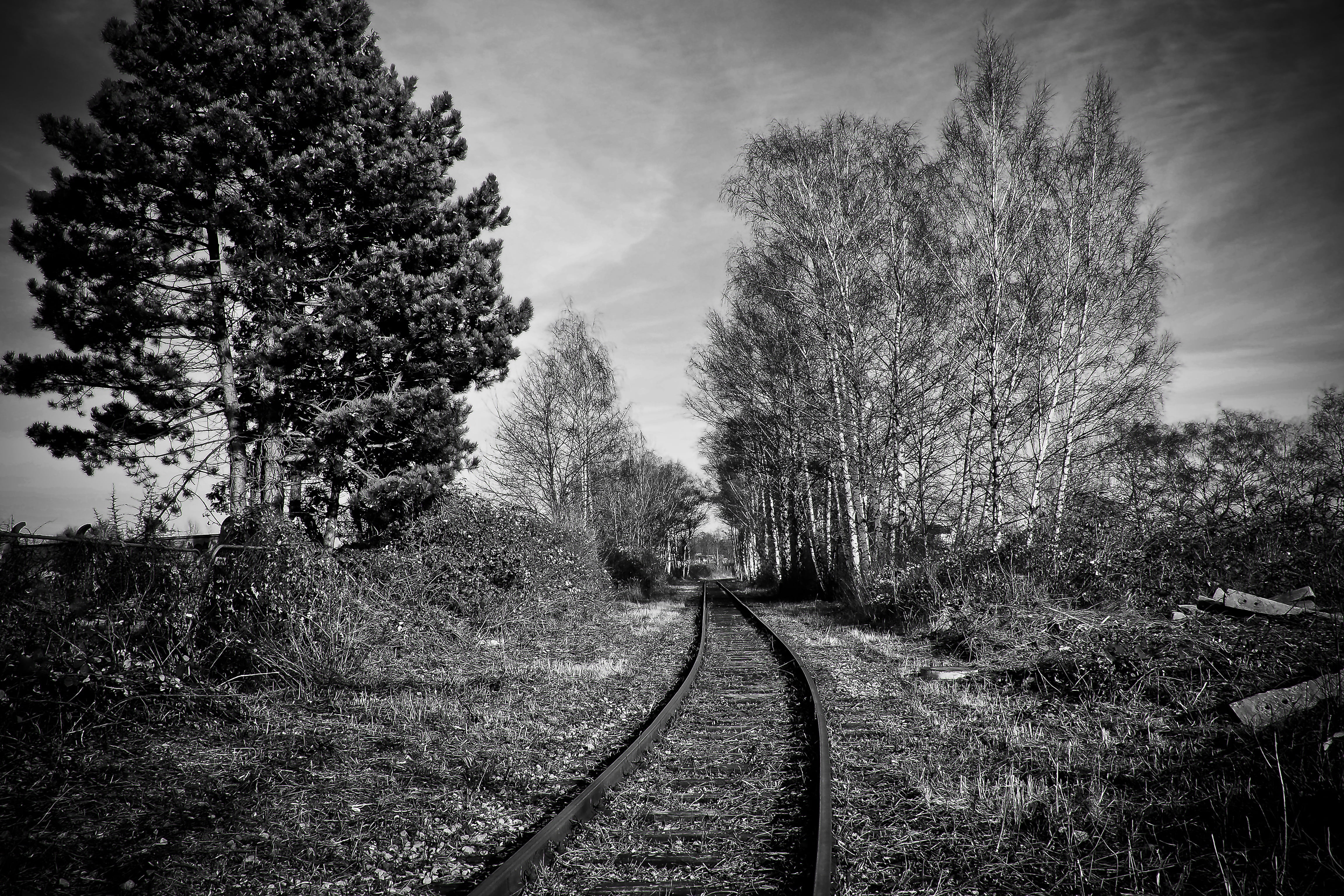 weathered, tree, scenics - nature, seemed, growth, diminishing perspective, track bed, tranquil scene, old, railway, still, loneliness, broken, plant, beauty in nature, HD Wallpaper