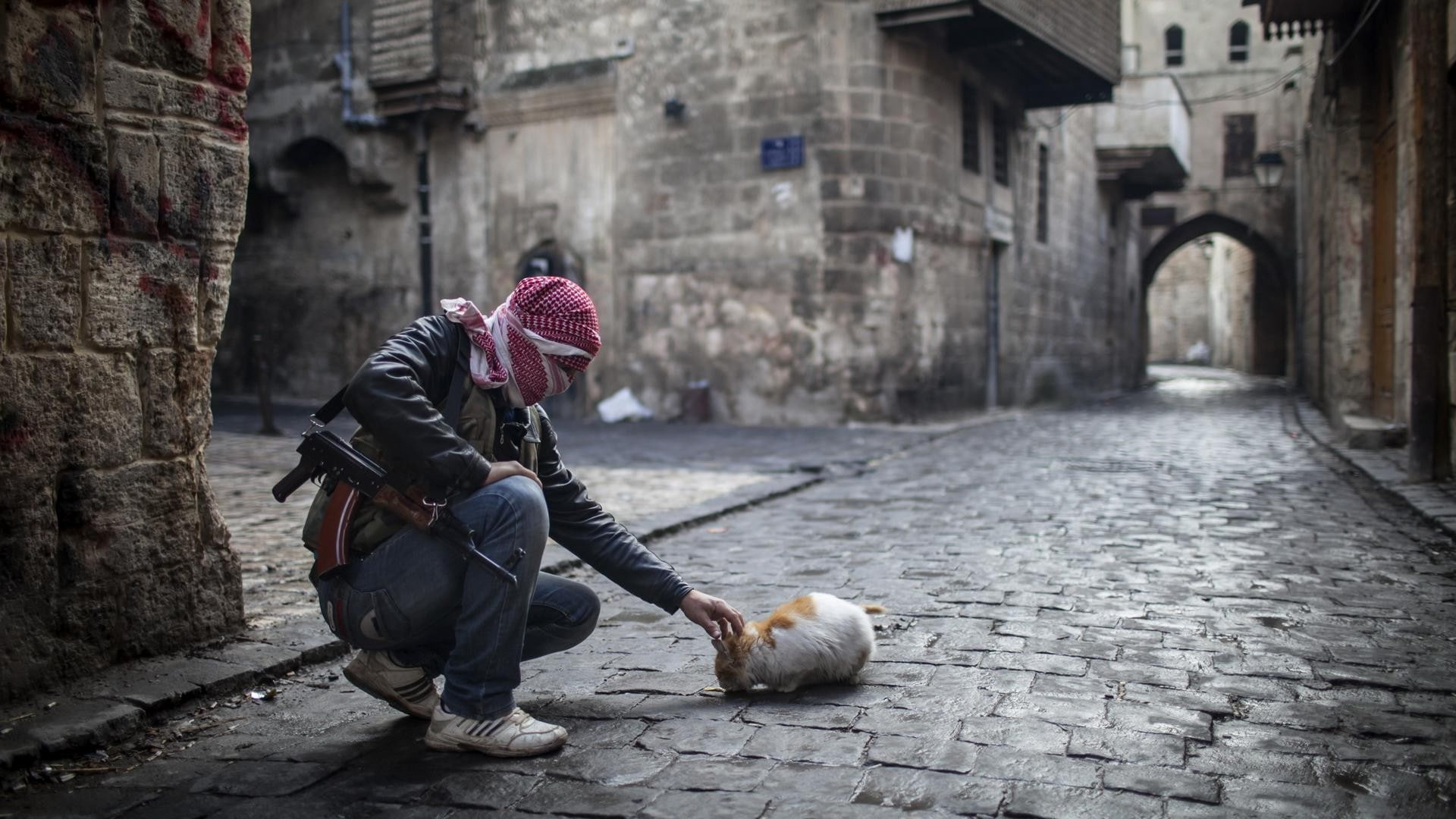 outdoors, war cat street gun aleppo syria, city, day, hat, adult, footpath, focus on foreground, paving stone, real people, clothing, architecture, women, HD Wallpaper