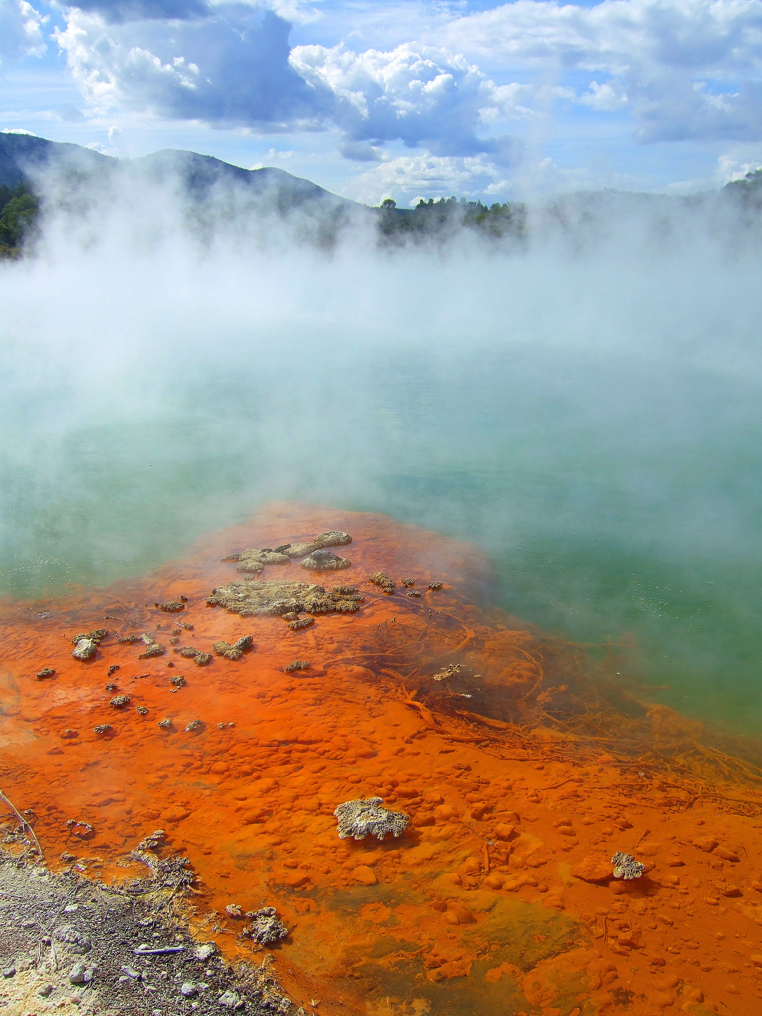 volcanic Crater, environment, tranquil scene, no people, water, geyser, wai-o-tapu thermal wonderland, nature, Rotorua, physical geography, 2K, landscape, Phone HD Wallpaper