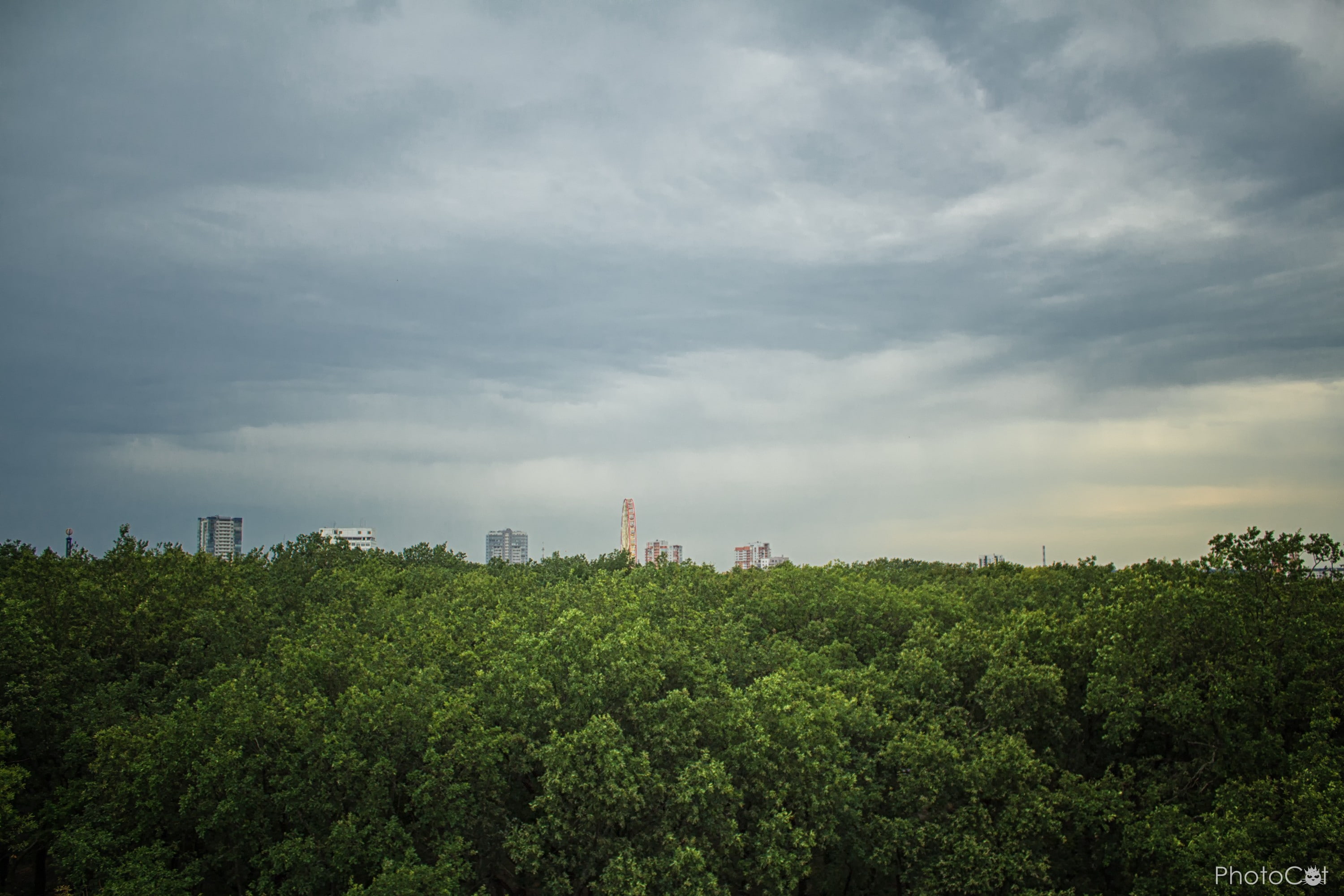 green color, built structure, factory, nature, park, no people, day, growth, green, plant, 2K, sky, smoke stack, industry, architecture, building exterior, HD Wallpaper