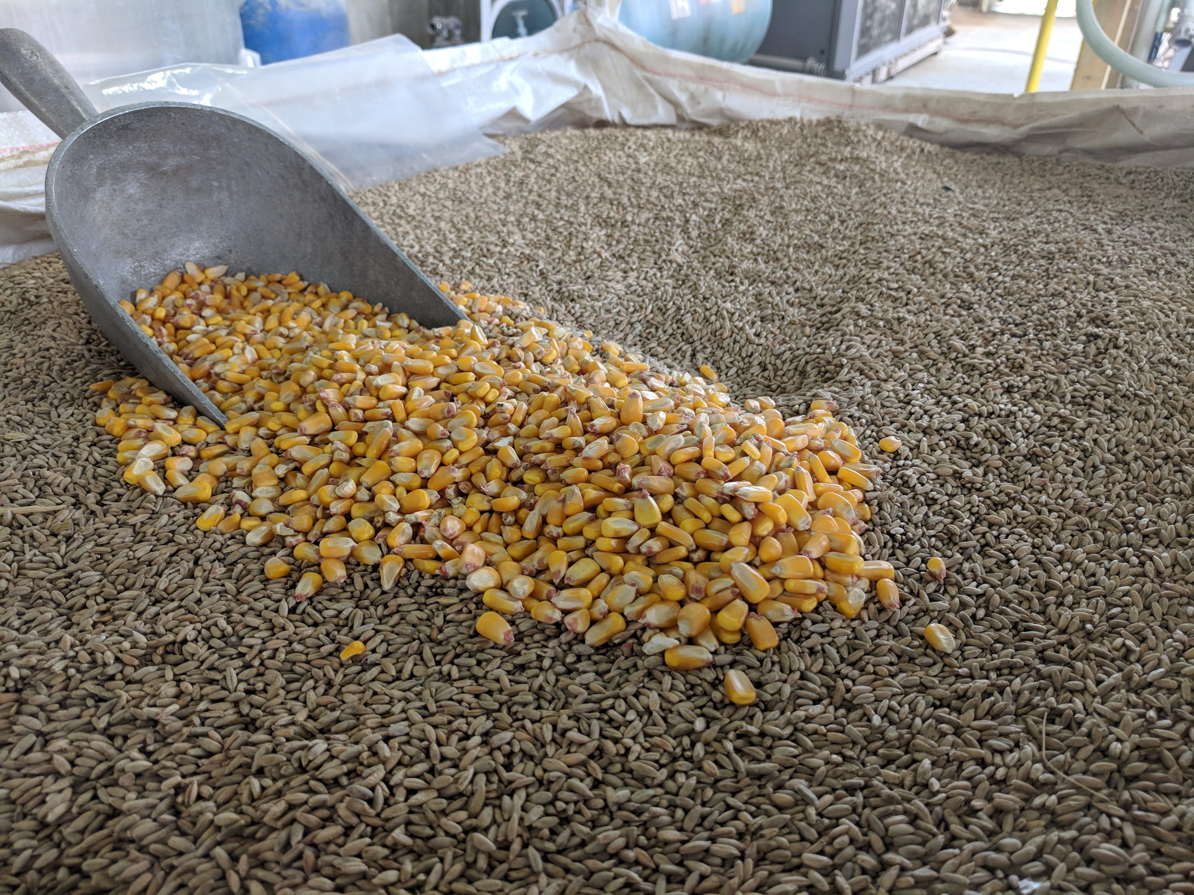 bourbon, feed, dried, still life, raw food, corn, for sale, dried food, no people, large group of objects, day, distillery, animal feed, healthy eating, HD Wallpaper