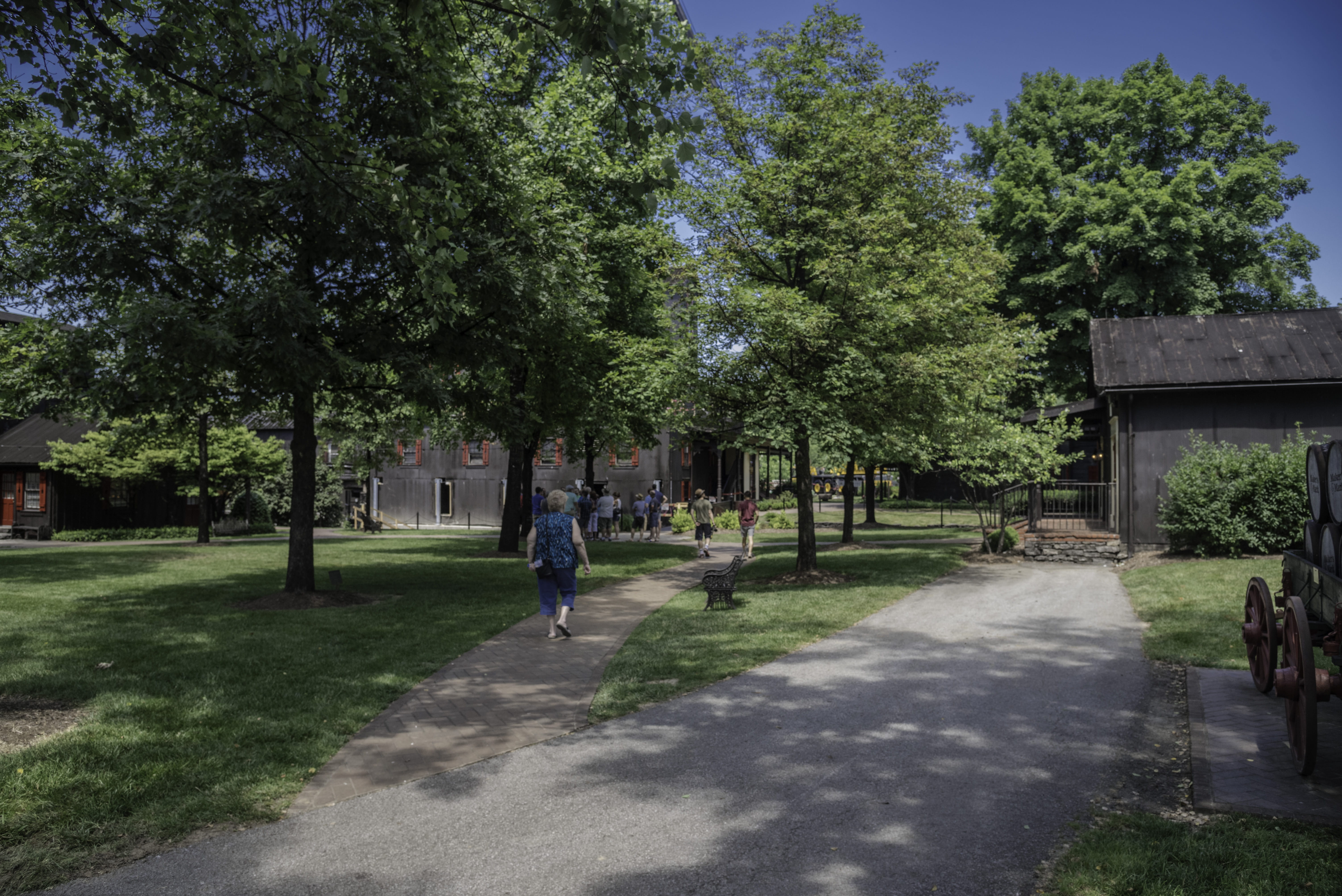 tree, architecture, maker, mark, s, sidewalk, public domain, growth, Makers Mark, men, day, women, real people, plant, Kentucky, footpath, incidental people, HD Wallpaper