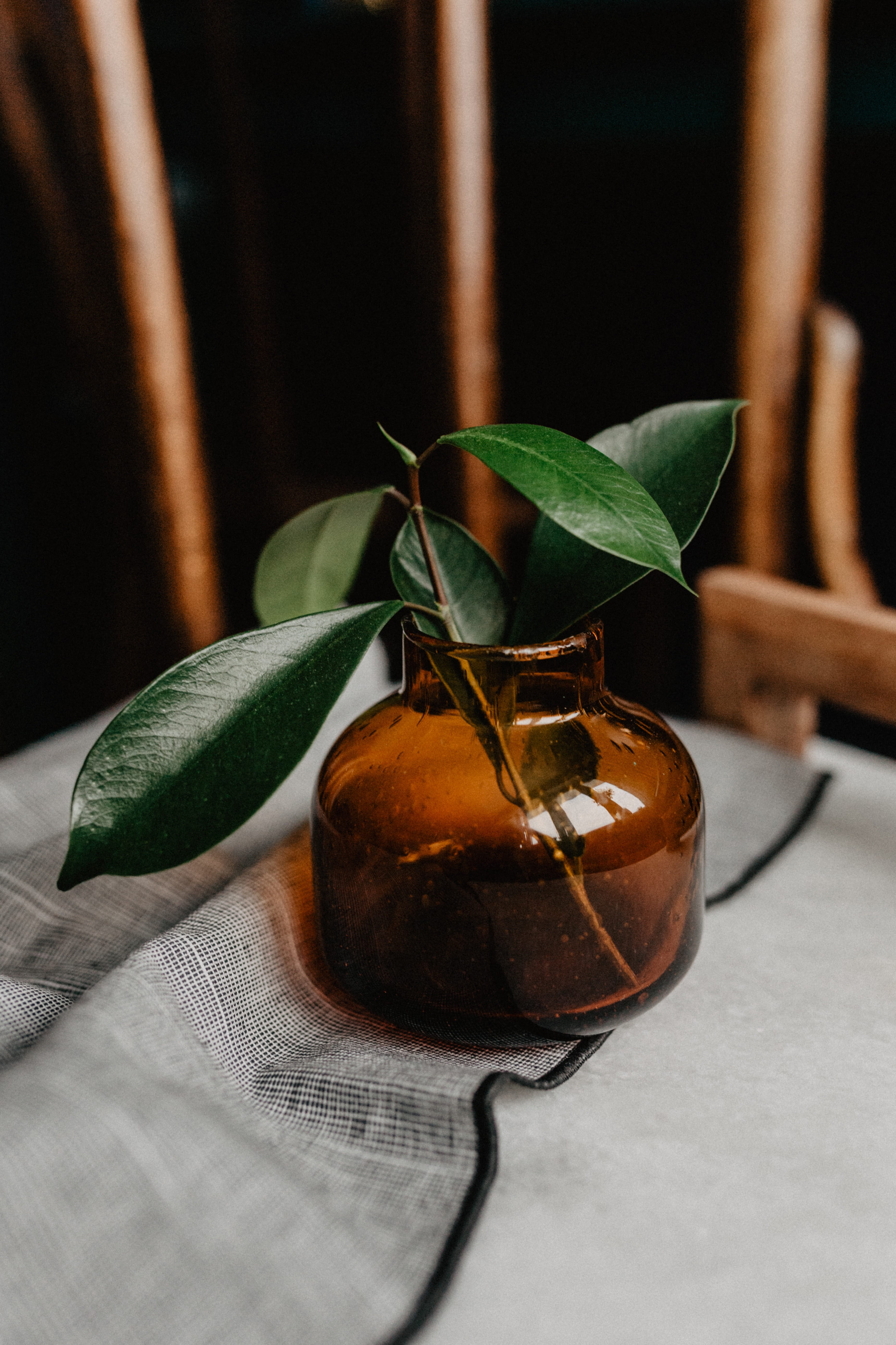 plant, textile, day, leaves, clock, feminine, close-up, nature, wellbeing, green color, jewellery, freshness, focus on foreground, time, flatlay, still life, Phone HD Wallpaper