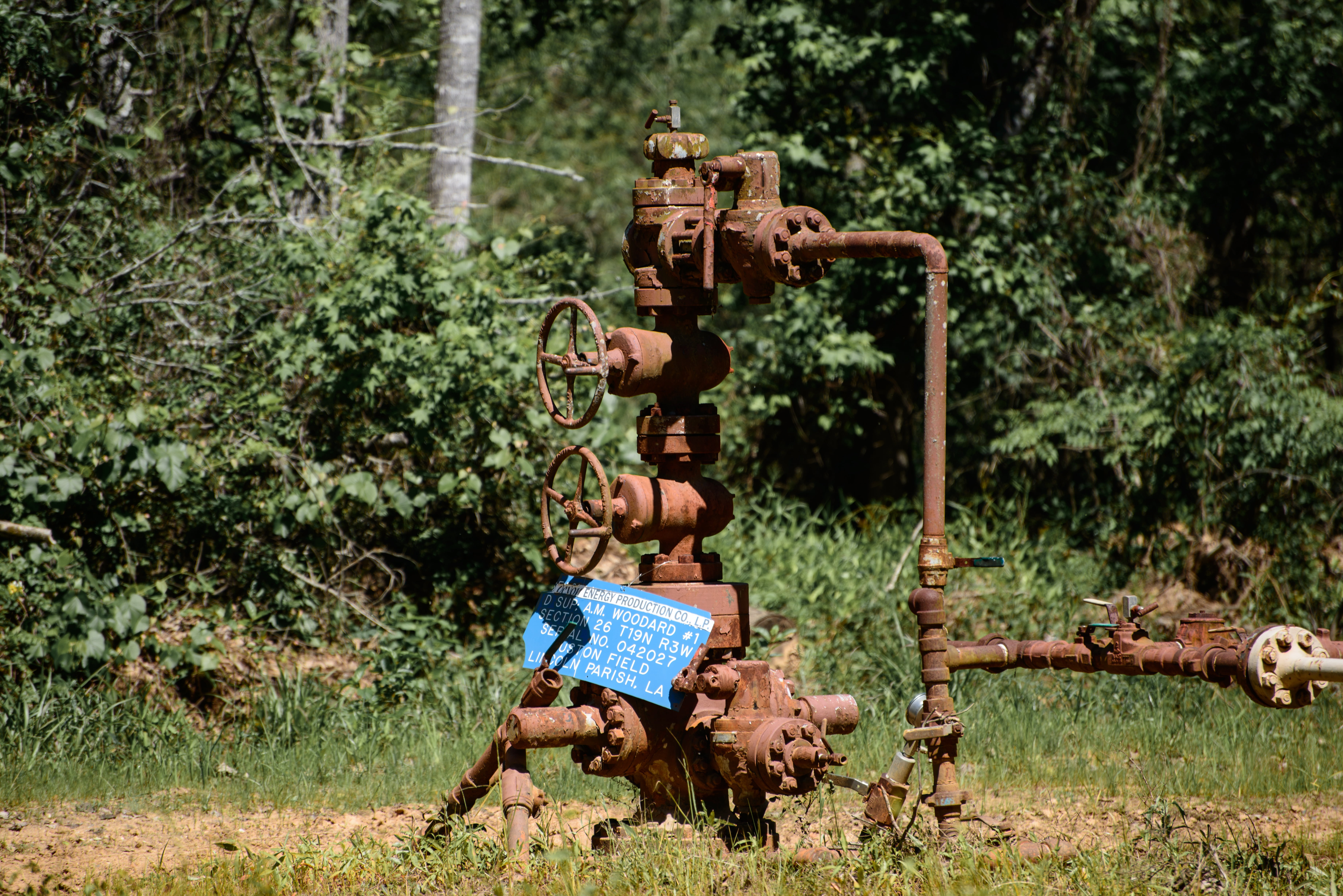 metal, rusty, field, transportation, no people, 5K, plant, forest, equipment, outdoors, rust, old, green color, gas line, industrial, valve, mammal, pipes, HD Wallpaper