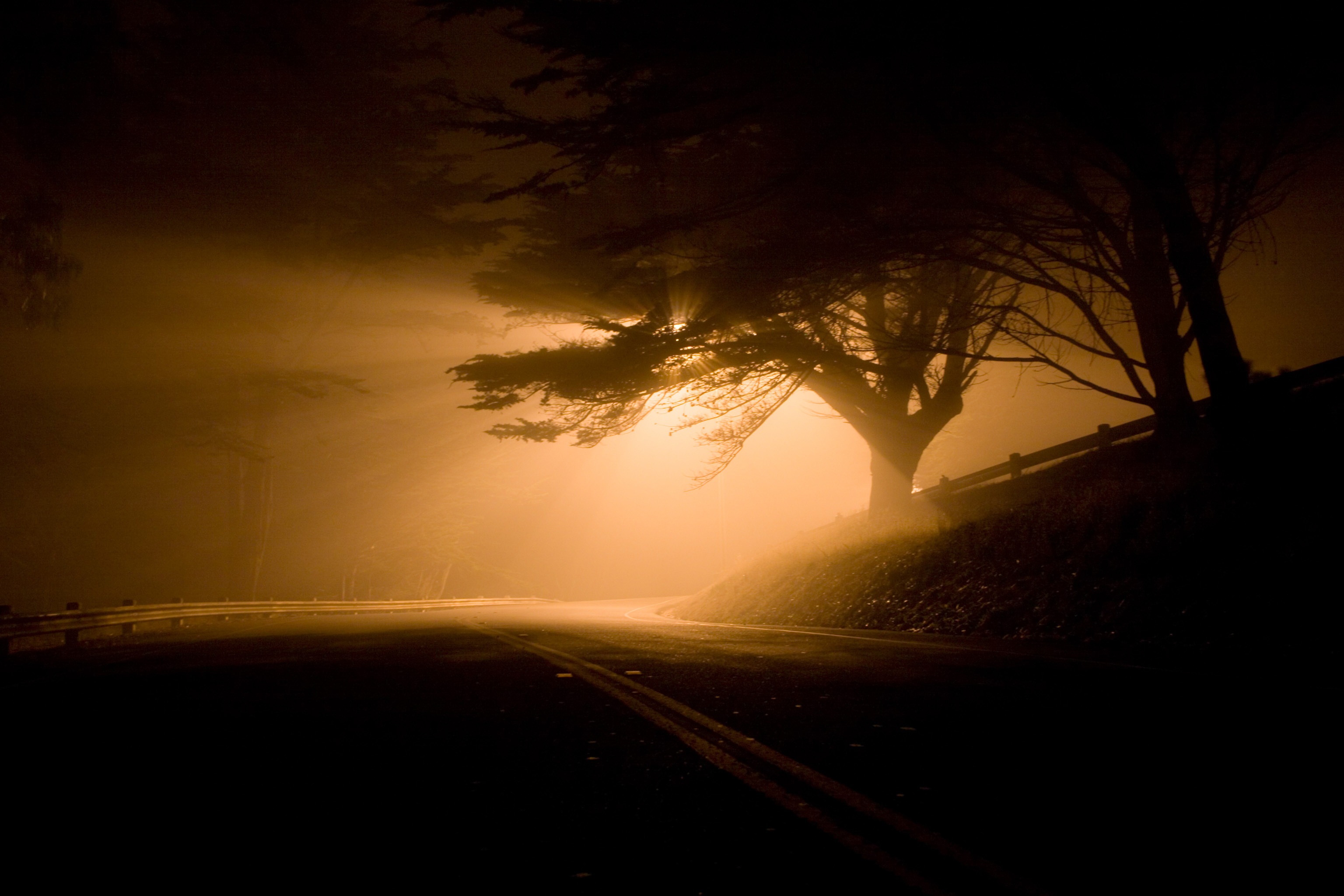 illuminated, night, motion, eerie, forest, plant, fog, no people, car, shadows, sign, sunset, the way forward, 2K, travel, shafts of light, near, presidio, HD Wallpaper