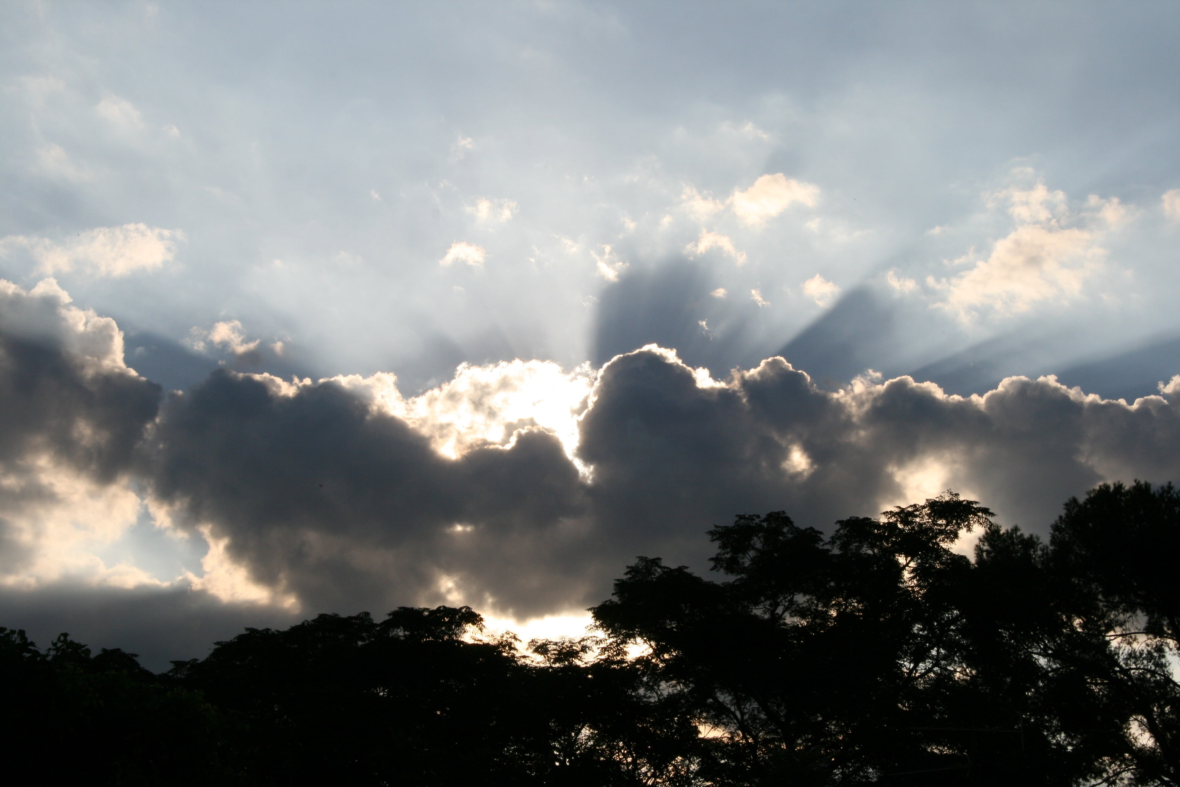 shining, bright, dark clouds, trees, silver edging, sun, cloudscape, tranquility, scenics - nature, nature, day, 4K, backgrounds, cloud - Sky, ominous, HD Wallpaper