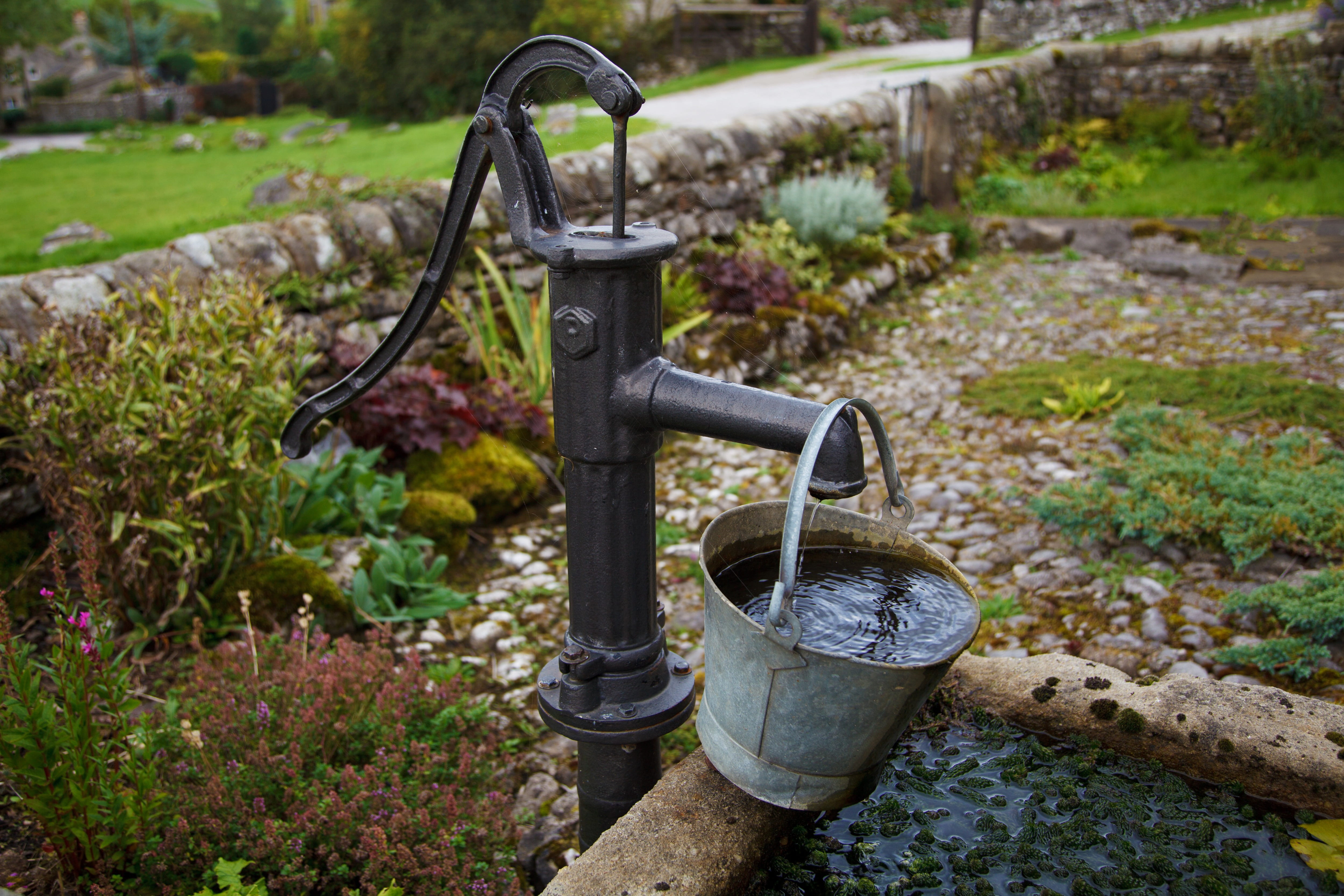 formal garden, water pump, mechanism, iron, steel, bucket, flower, manual, growth, focus on foreground, 4K, garden, day, machine valve, hanging, pipe, HD Wallpaper