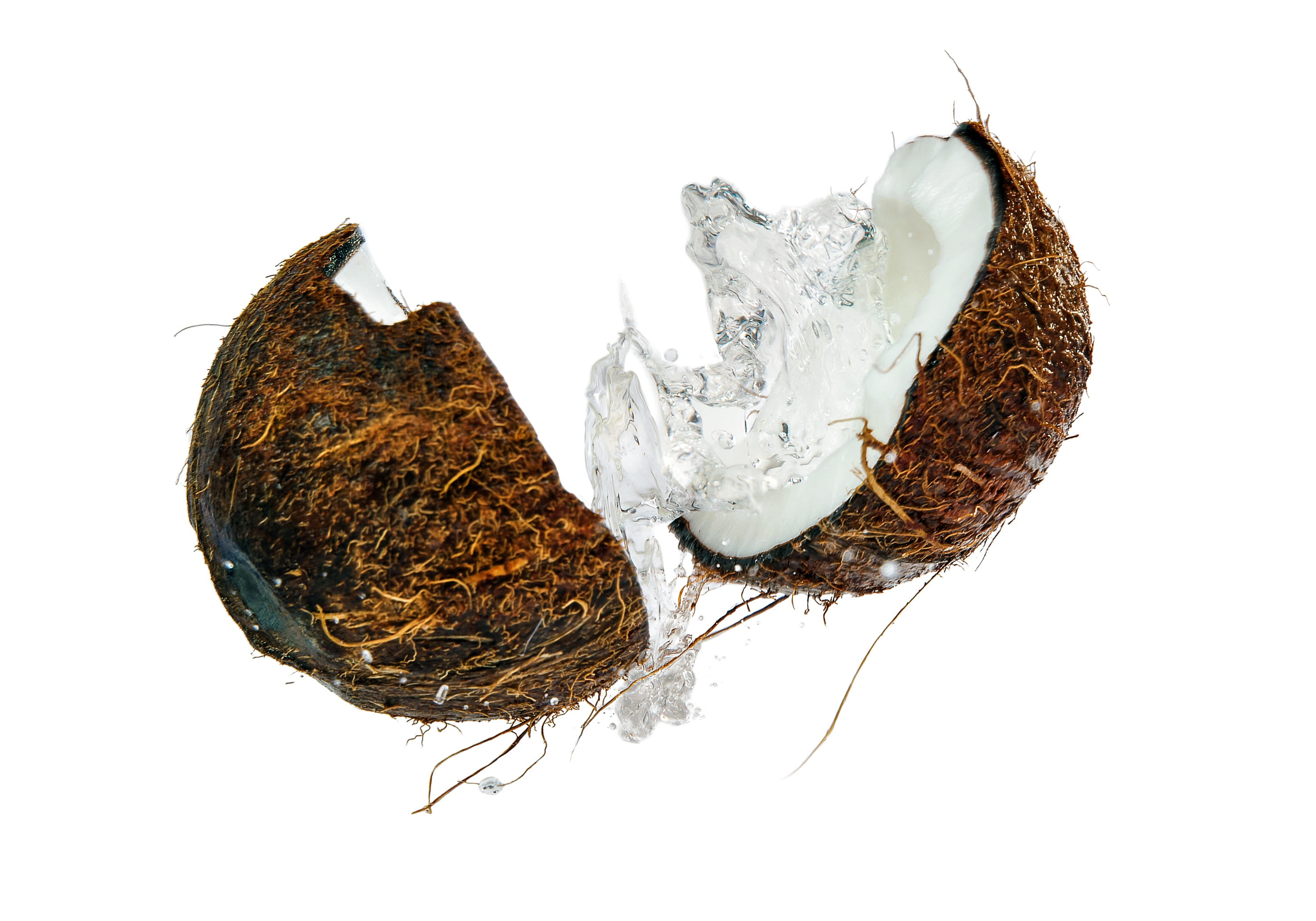 freshness, white color, copy space, blast, coconut, food and drink, dried, wet, 2K, healthy eating, falls, brown, food, fruit, studio shot, indoors, wilted plant, HD Wallpaper