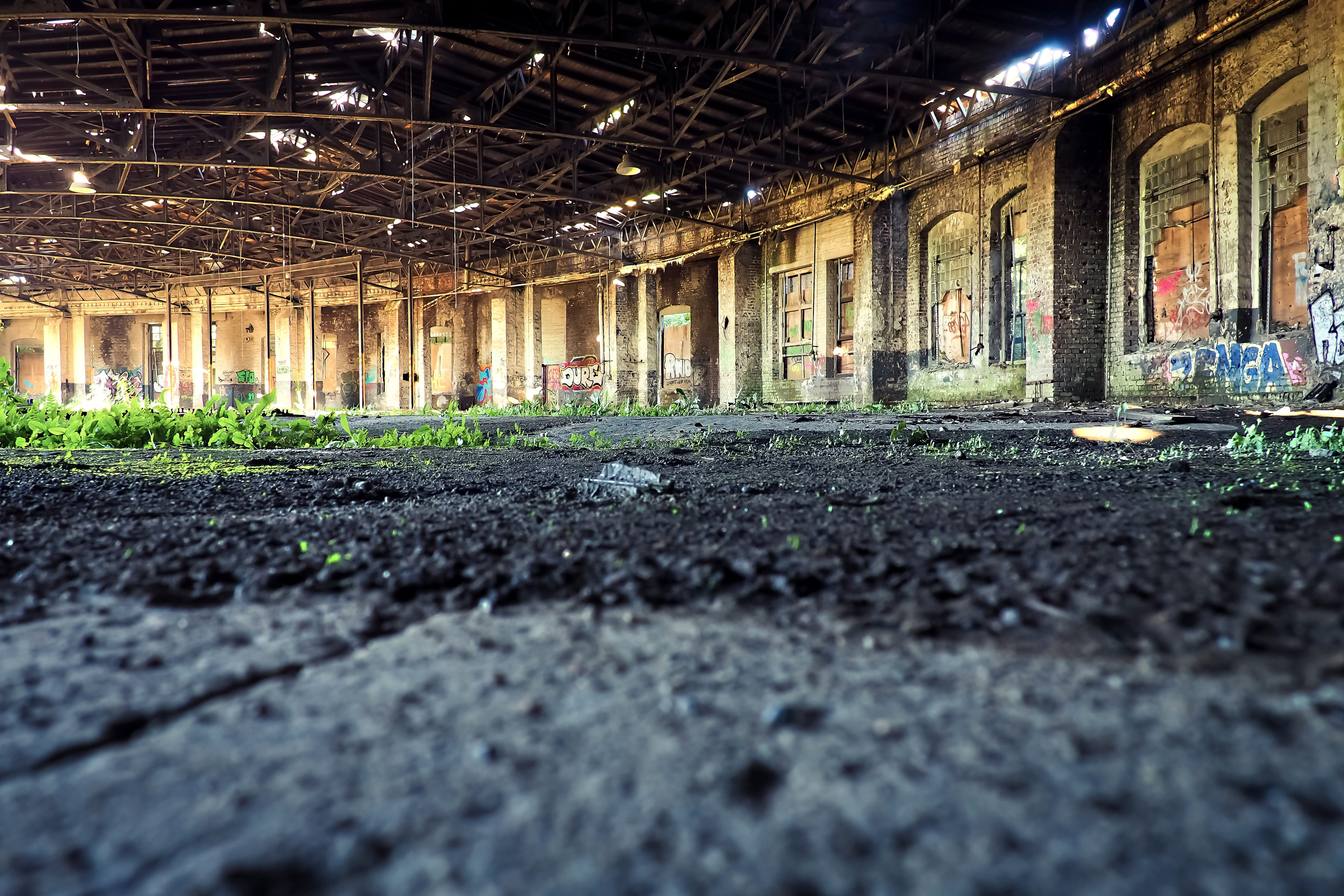 nature, dilapidated, unused, run down, no people, forget, indoors, railway depot, old, 4K, old building, run-down, train, factory building, window, ruin, HD Wallpaper