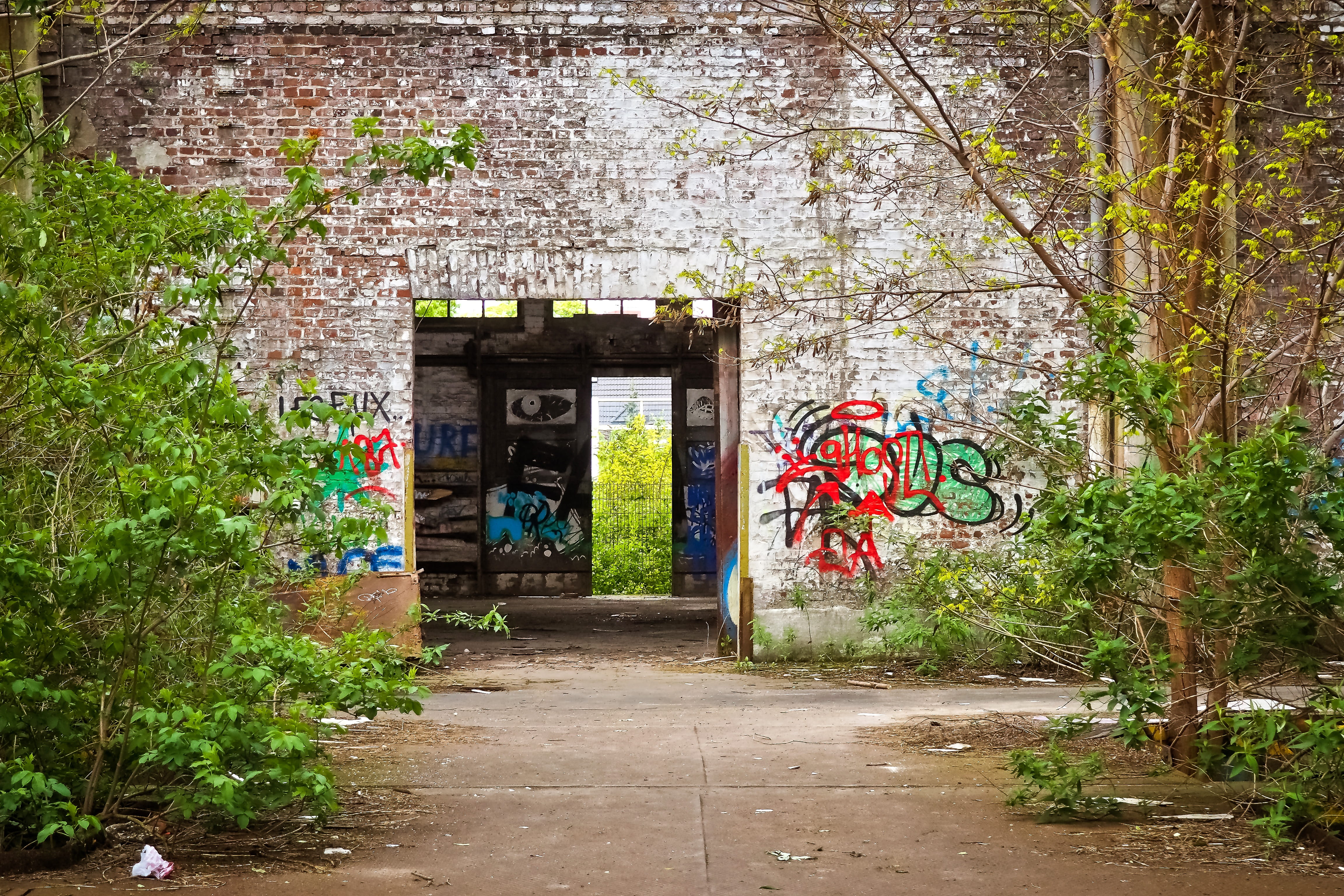 window, forget, void hall, flower, ruin, warehouse, track climb, lost places, transience, factory building, entrance, railway depot, past, day, shabby, HD Wallpaper