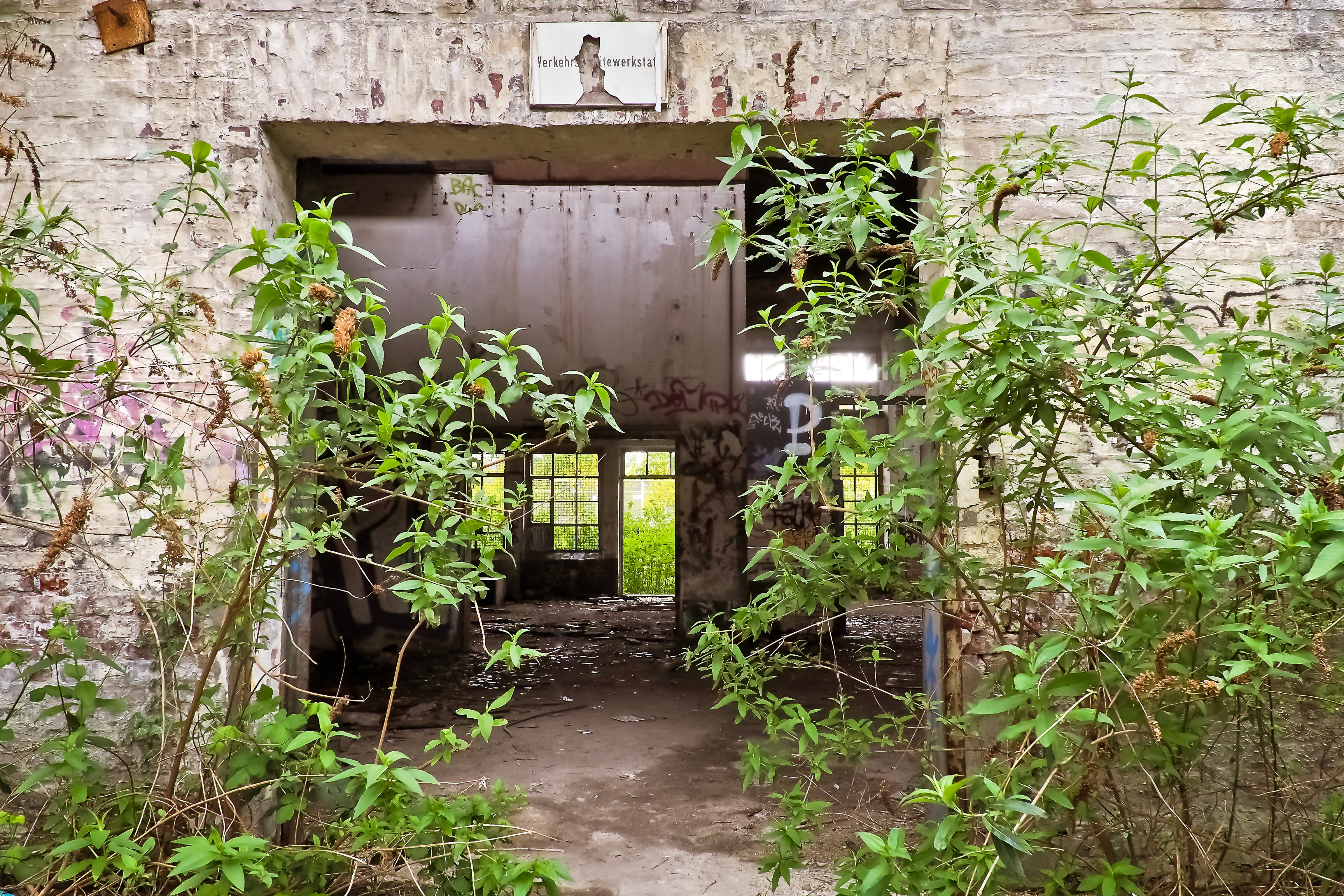 unused, transient, old building, warehouse, window, no people, railway depot, train, built structure, neglected, growth, 4K, plant part, overgrown, broken, HD Wallpaper