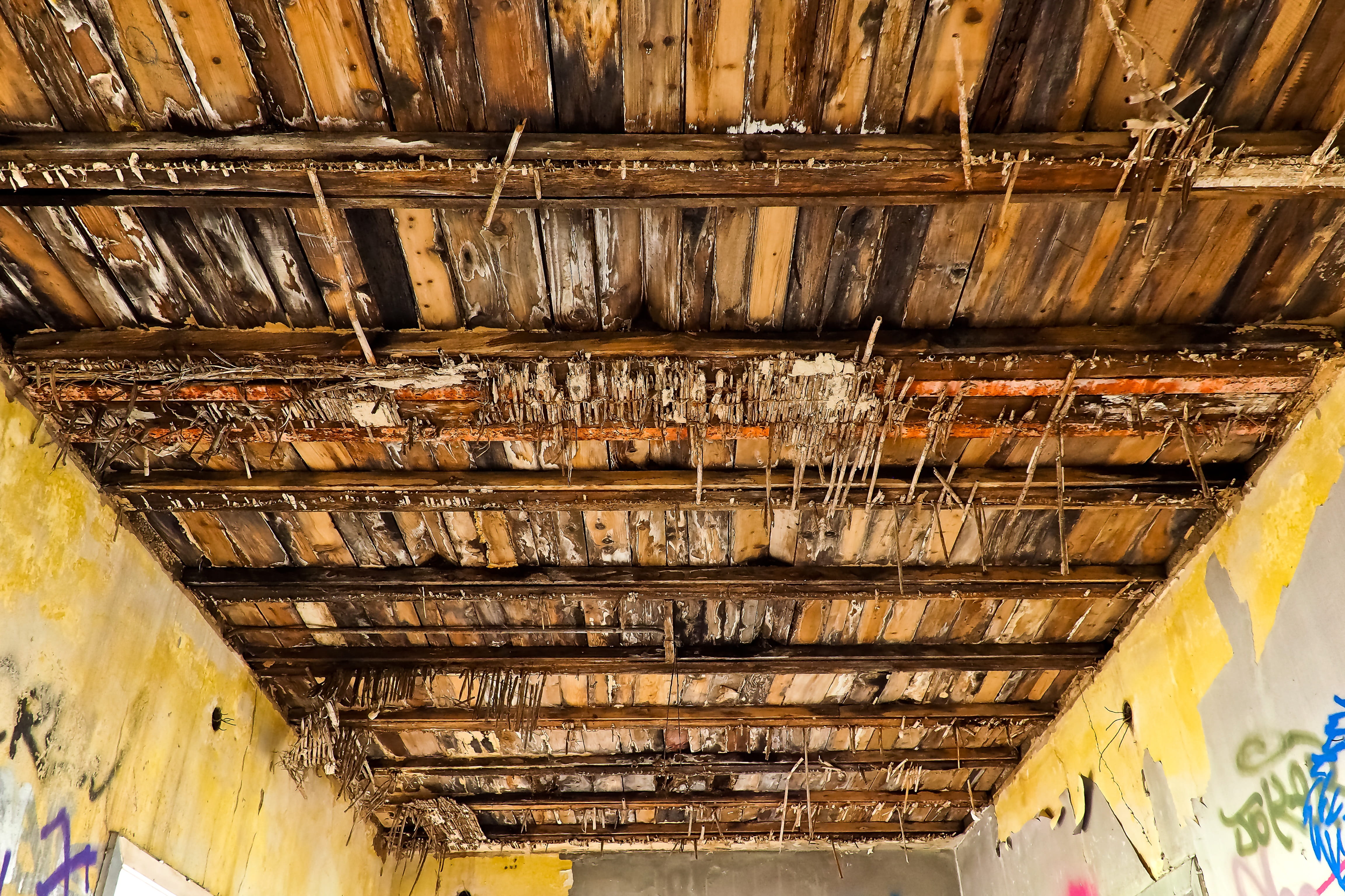 roof construction, architecture, dirty, transient, construction, neglected, wood - material, yellow, steps and staircases, building, leave, ceiling beams, HD Wallpaper