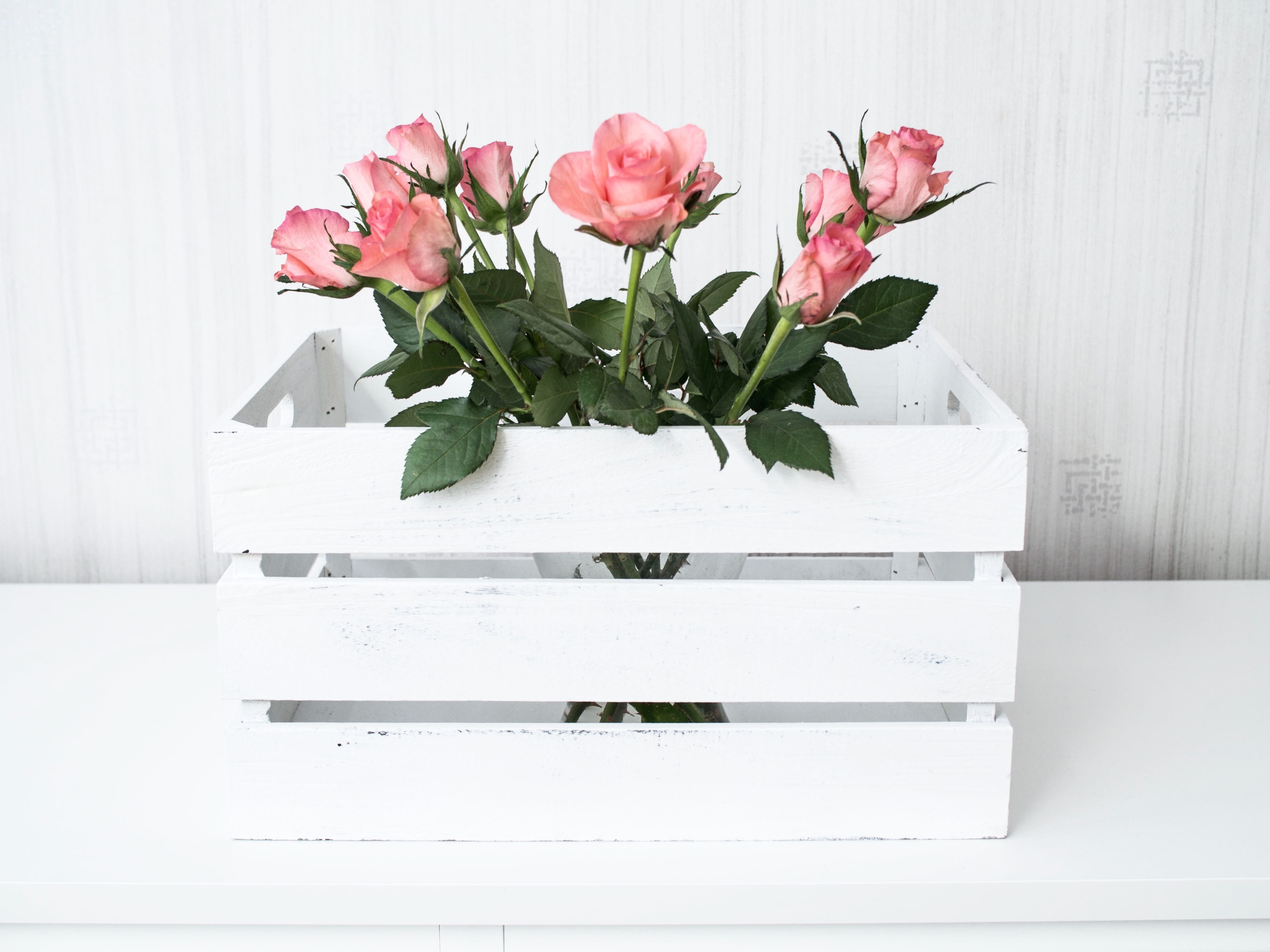 freshness, garden roses, flower head, bunch of flowers, the delicacy, crate, rose, composition, beauty in nature, arrangement, vase, bouquet of flowers, HD Wallpaper