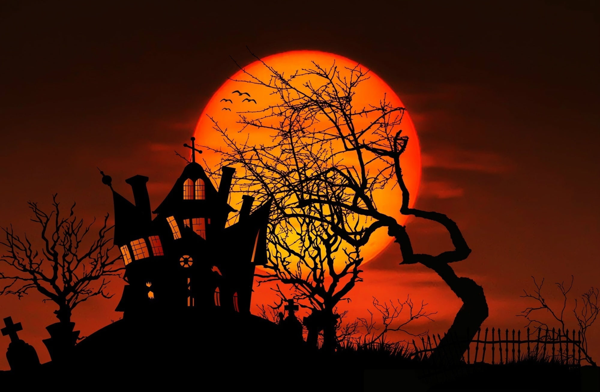 decor, nature, Moon, Midnight, Halloween, sky, sunset, dramatic sky, belief, built structure, Holidays, religion, Full, orange color, bare tree, plant, HD Wallpaper