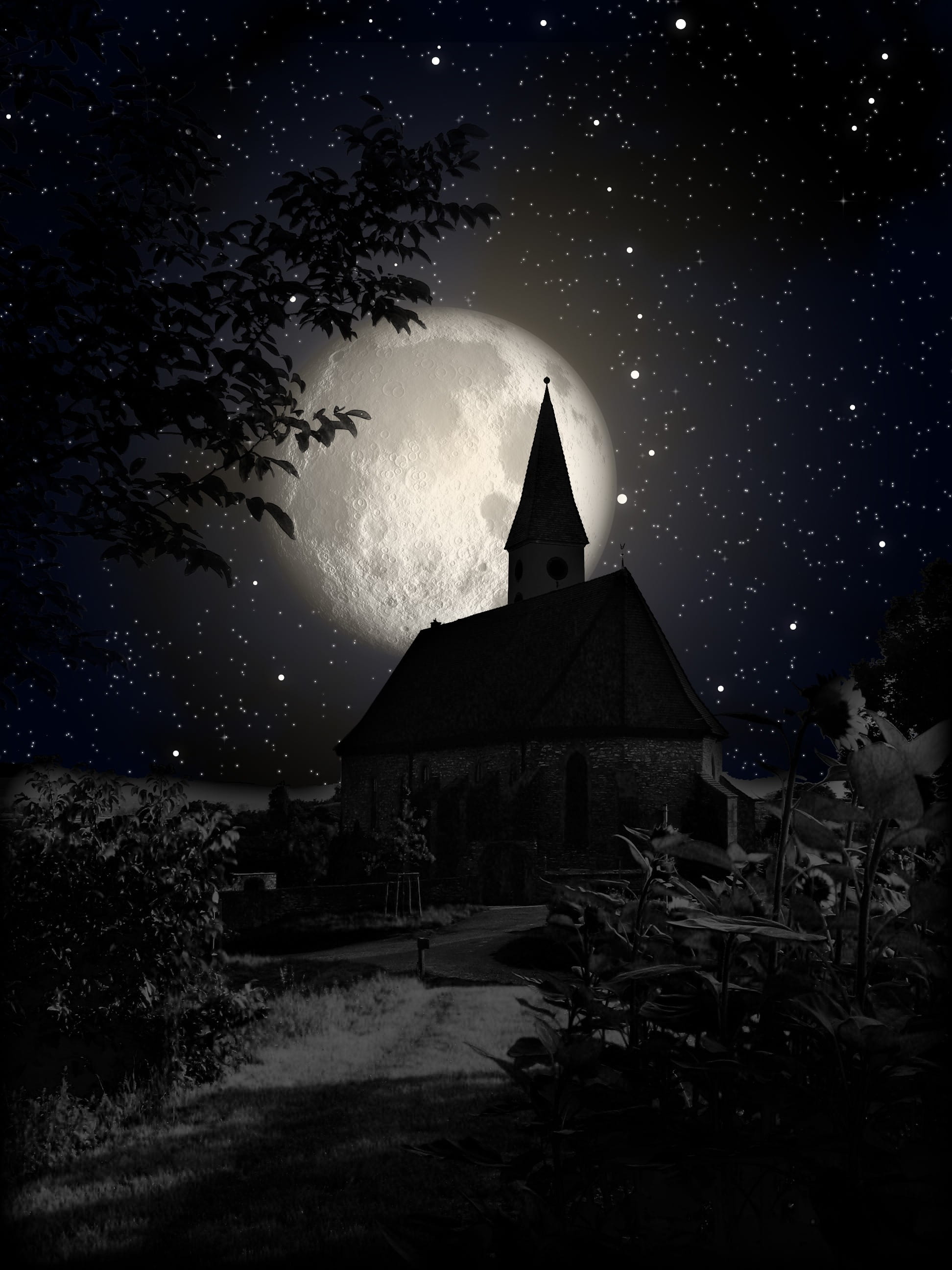 celestial body, dark, no people, star - Space, moon, brown, light, church, time, plant, satellite, atmosphere, tower, night time, gray, place of worship, Phone HD Wallpaper