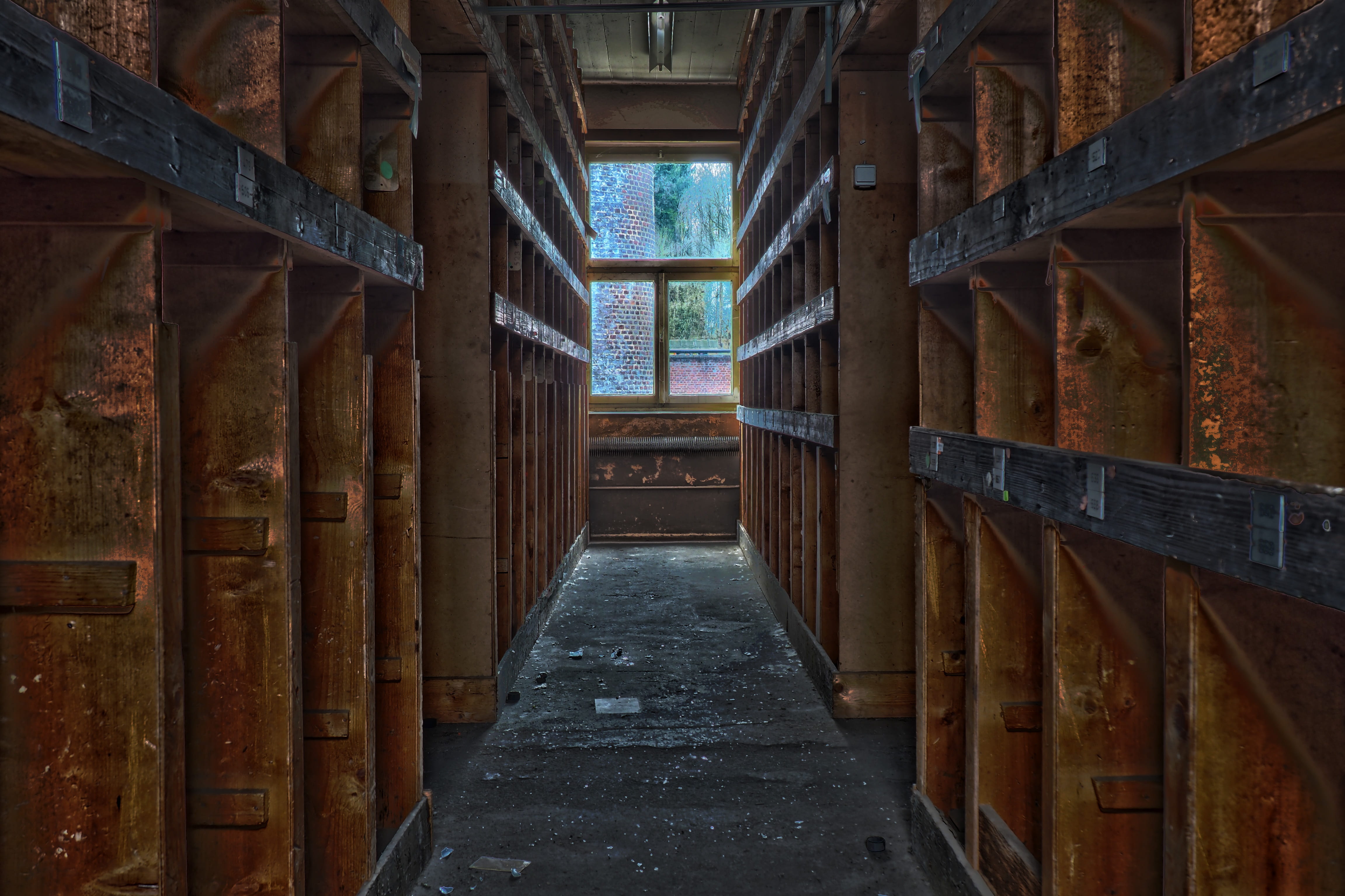in a row, old building, atmosphere, abandoned, near, wood, diminishing perspective, transience, lost places, decline, neglected, architecture, lapsed, glass, HD Wallpaper