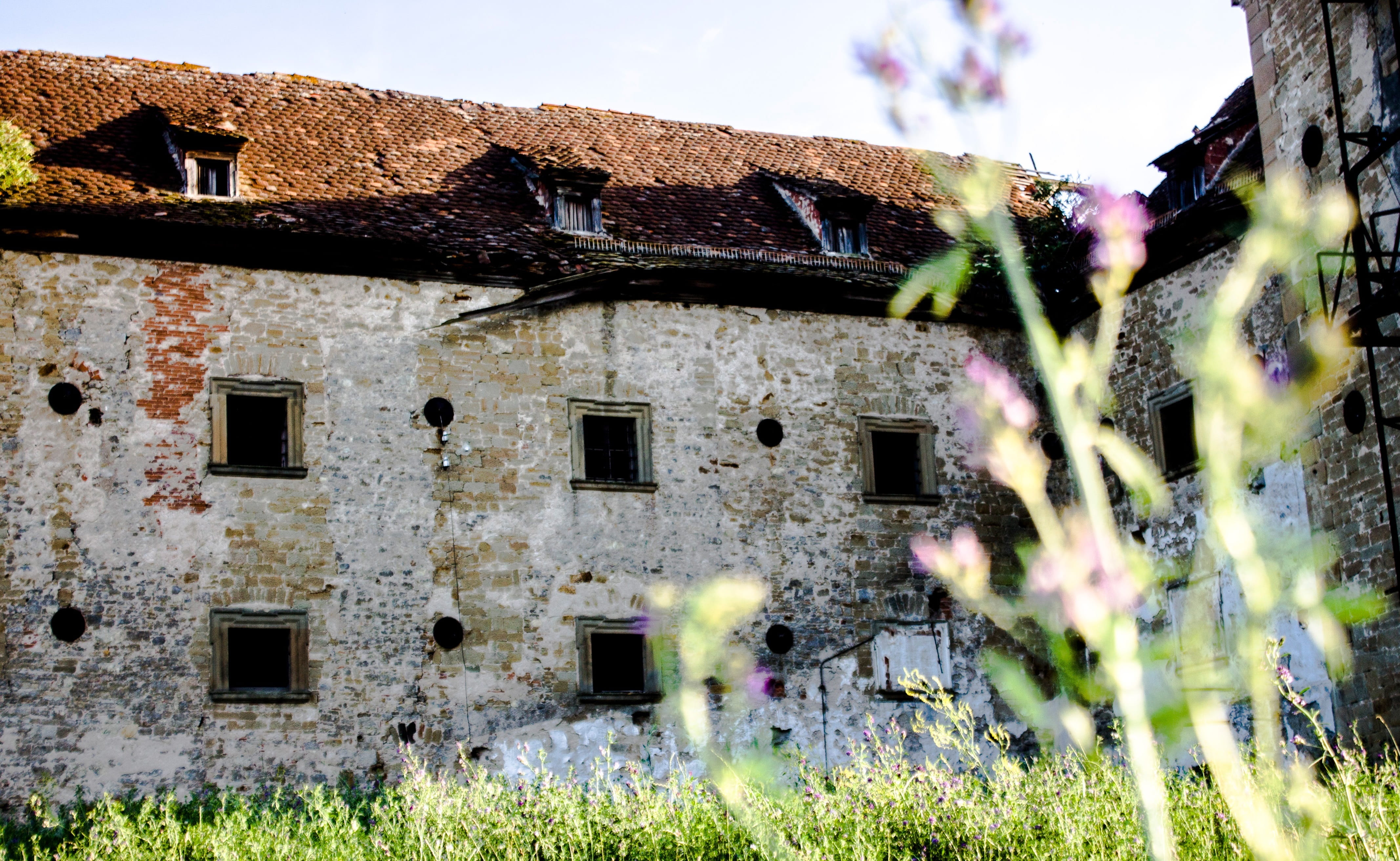nature, built structure, building, lapsed, decay, building exterior, day, dirty, architecture, lost place, main-image, ruin, selective focus, ailing, lost places, HD Wallpaper