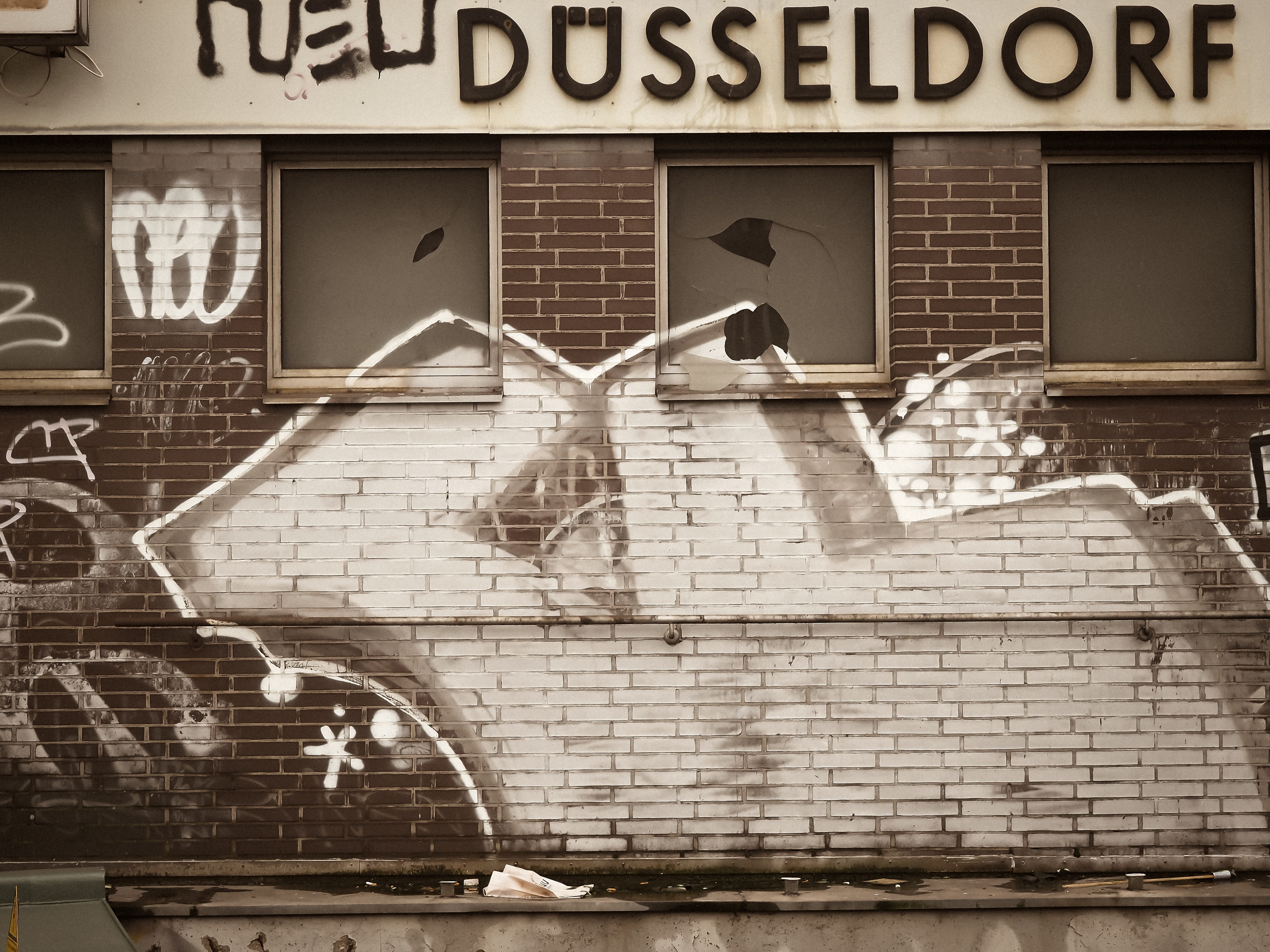 group of animals, flying, animal, window, graffiti, animal themes, sign, vertebrate, düsseldorf, dusseldorf-zoo, day, wall - building feature, decay, 4K, HD Wallpaper