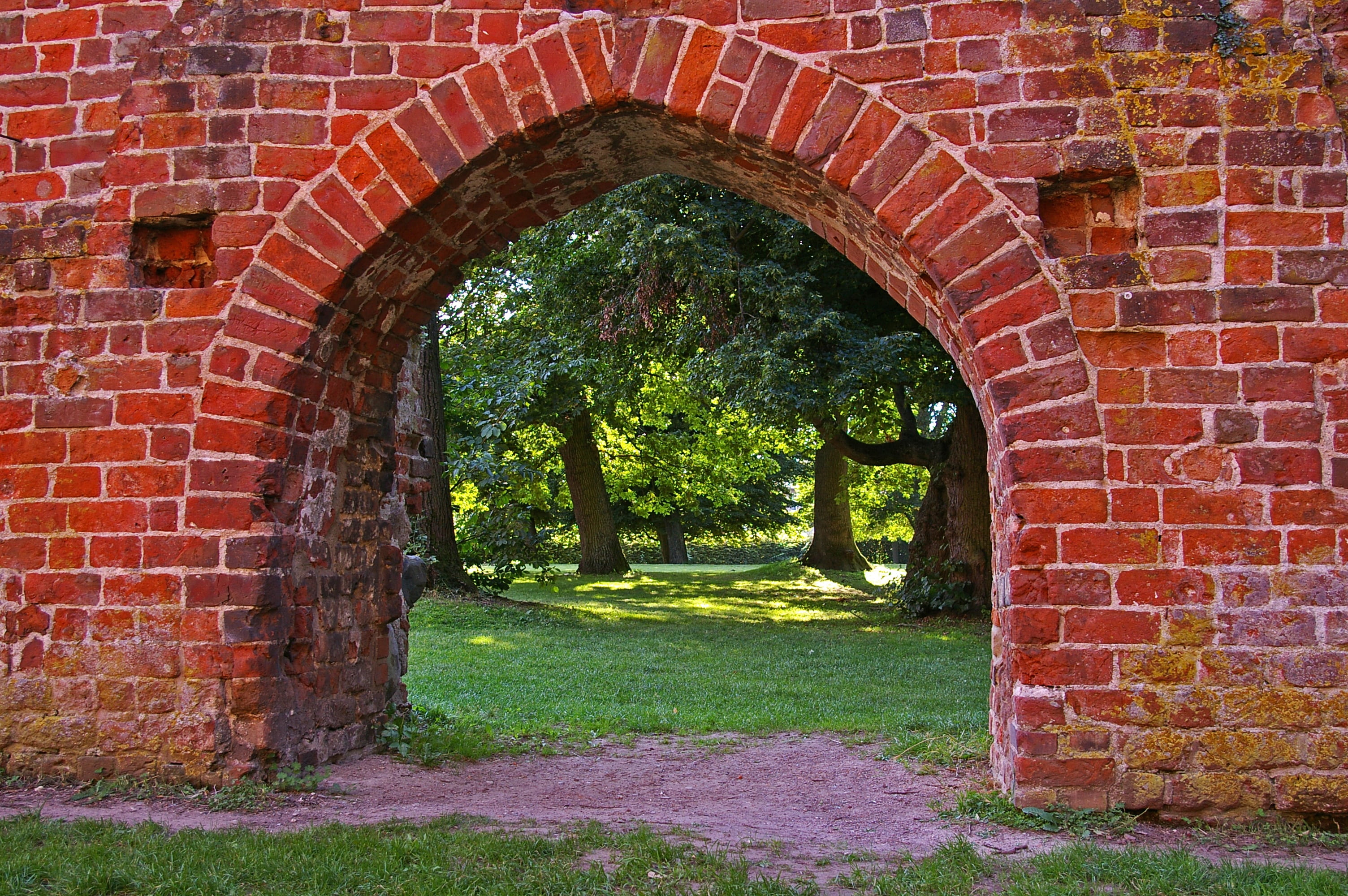 wall - building feature, entrance, old, graphic, texture, arched, nature, tree, structure, middle ages, window, leafed, leave, the past, historically, bricks, HD Wallpaper