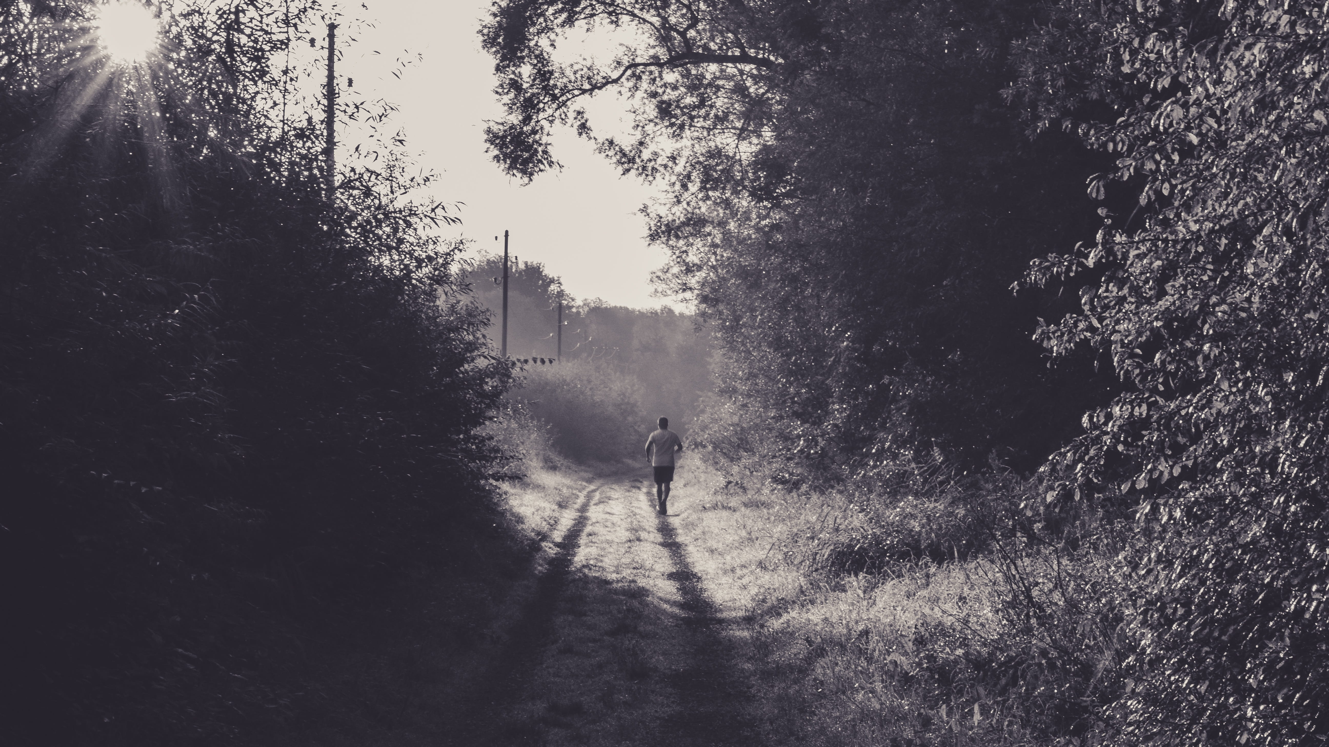 leisure activity, fog, men, outdoors, morning, 5K, forest, walking, tree, day, field, footpath, landscape, land, incidence of light, mood, real people, HD Wallpaper