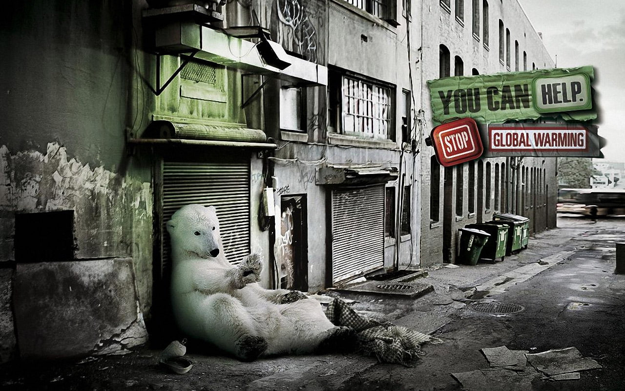 global, 720P, polar, stop, warming, bear, HD Wallpaper