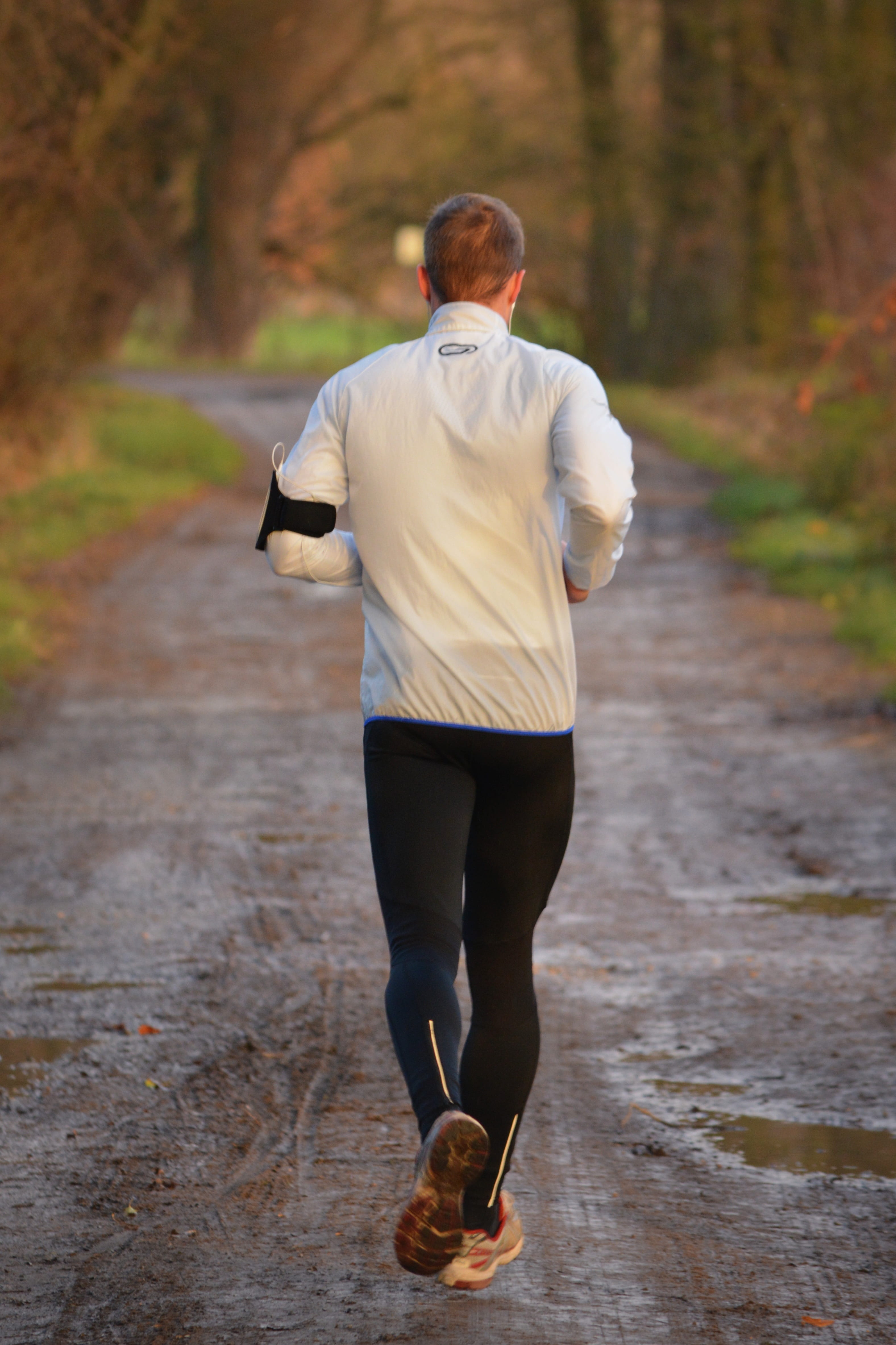 tree, black shirt, sweatpants, sports, runner, road, walk, walking, direction, over outfit, real people, shirt, adults only, leisure activity, motion, adult, Phone HD Wallpaper
