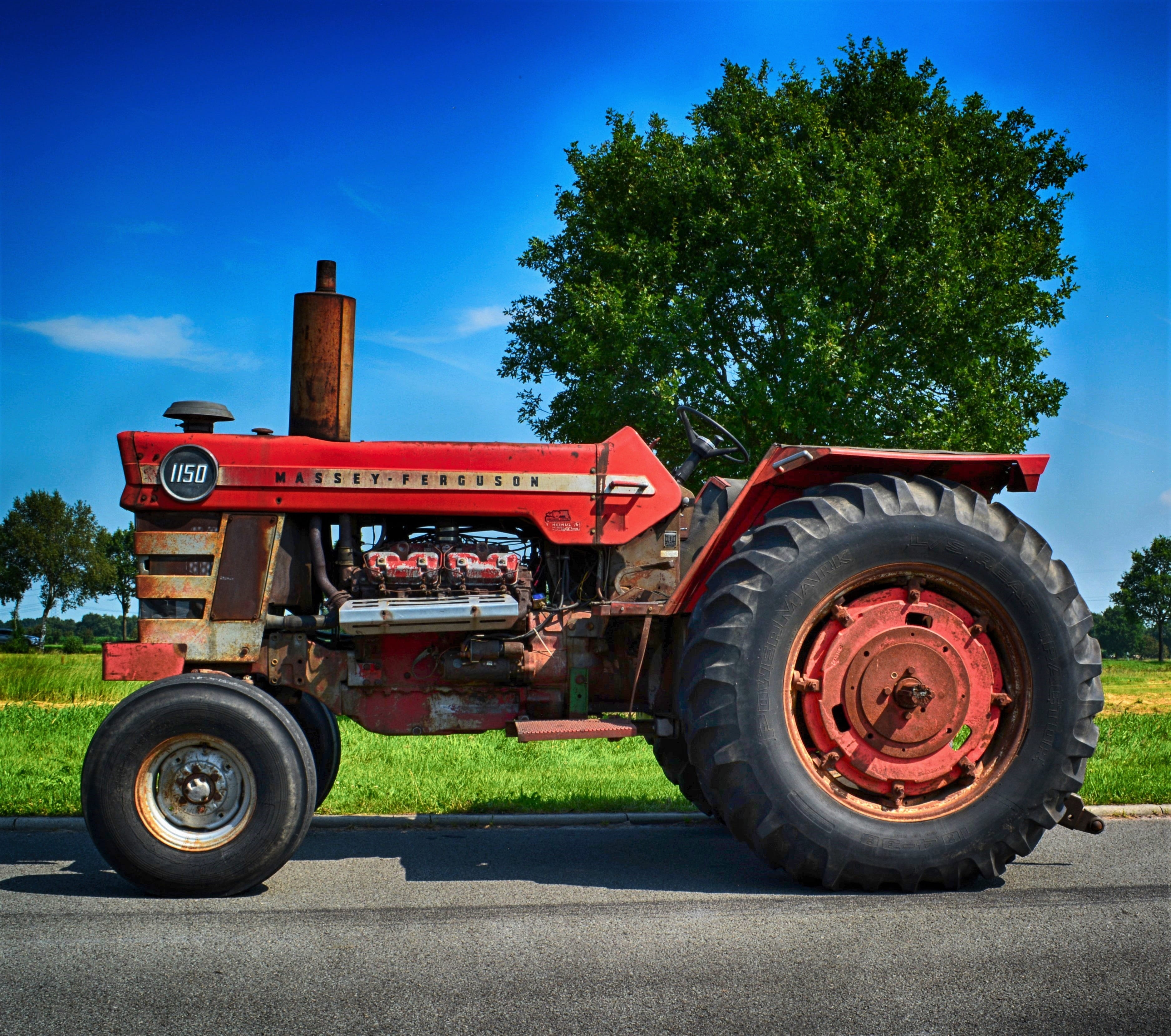 massey ferguson, agricultural equipment, oldie, sky, agricultural machinery, diesel, wheel, vehicle, retro, agriculture, tree, day, working machine, landtechnik, HD Wallpaper