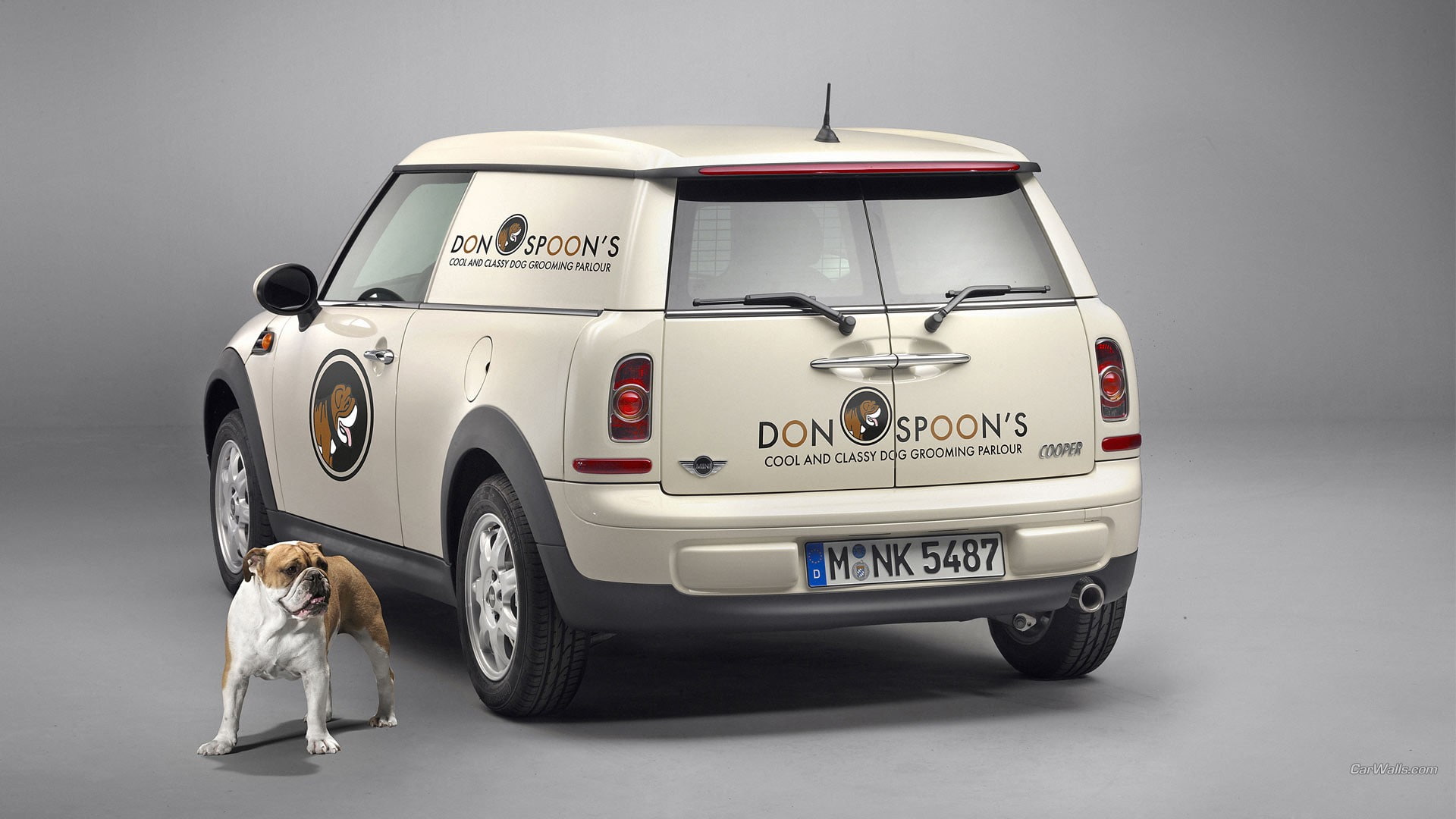 colored background, car, indoors, animals, gray, Mini Cooper, MINI Cooper Clubman, gray background, Mini Clubvan, mammal, studio shot, full length, domestic animals, HD Wallpaper
