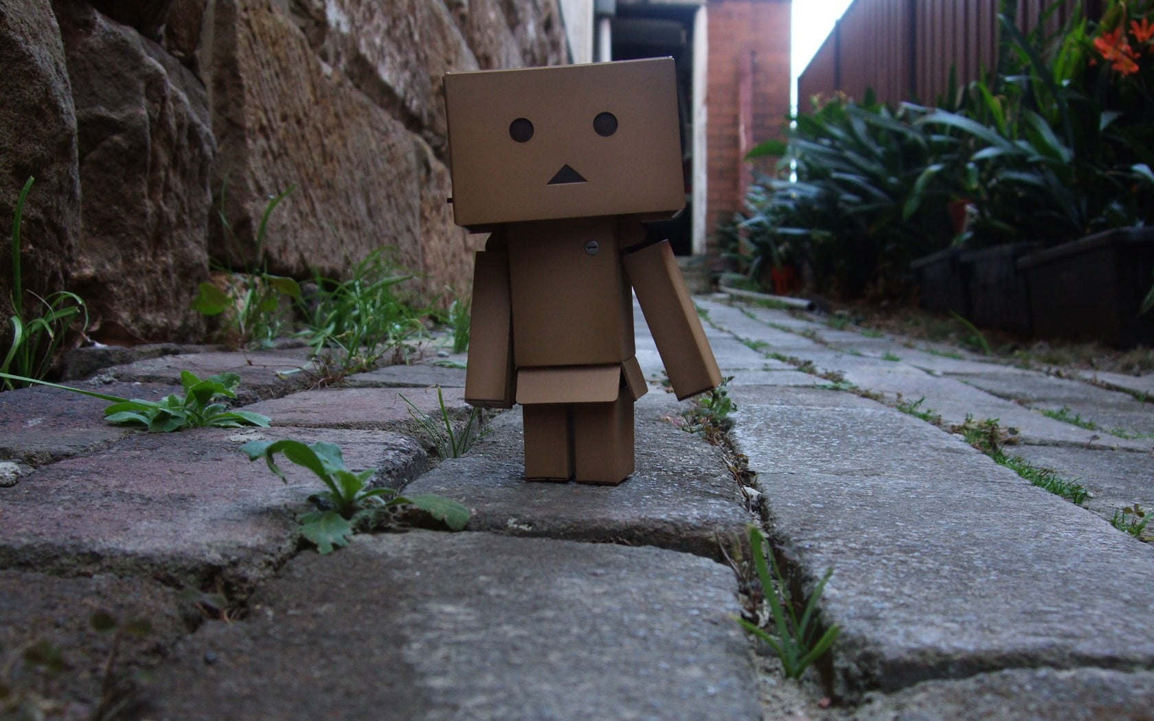 720P, Danbo, Amazon, built structure, robot, art and craft, box, box - container, nightstand, brown, footpath, nature, craft, wooden, container, architecture, HD Wallpaper